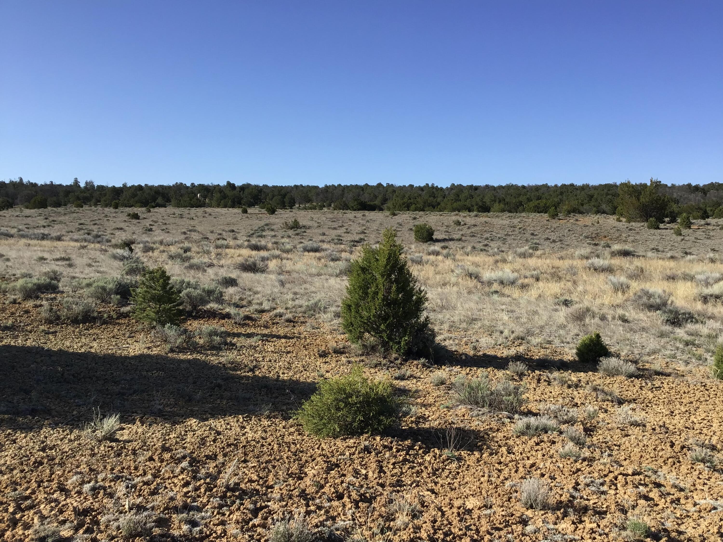 Lot 106 Ranch Drive, Ramah, New Mexico image 23