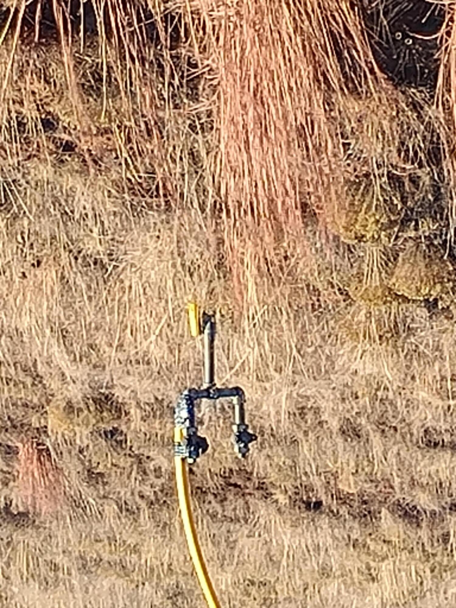 68 Evening Star Loop