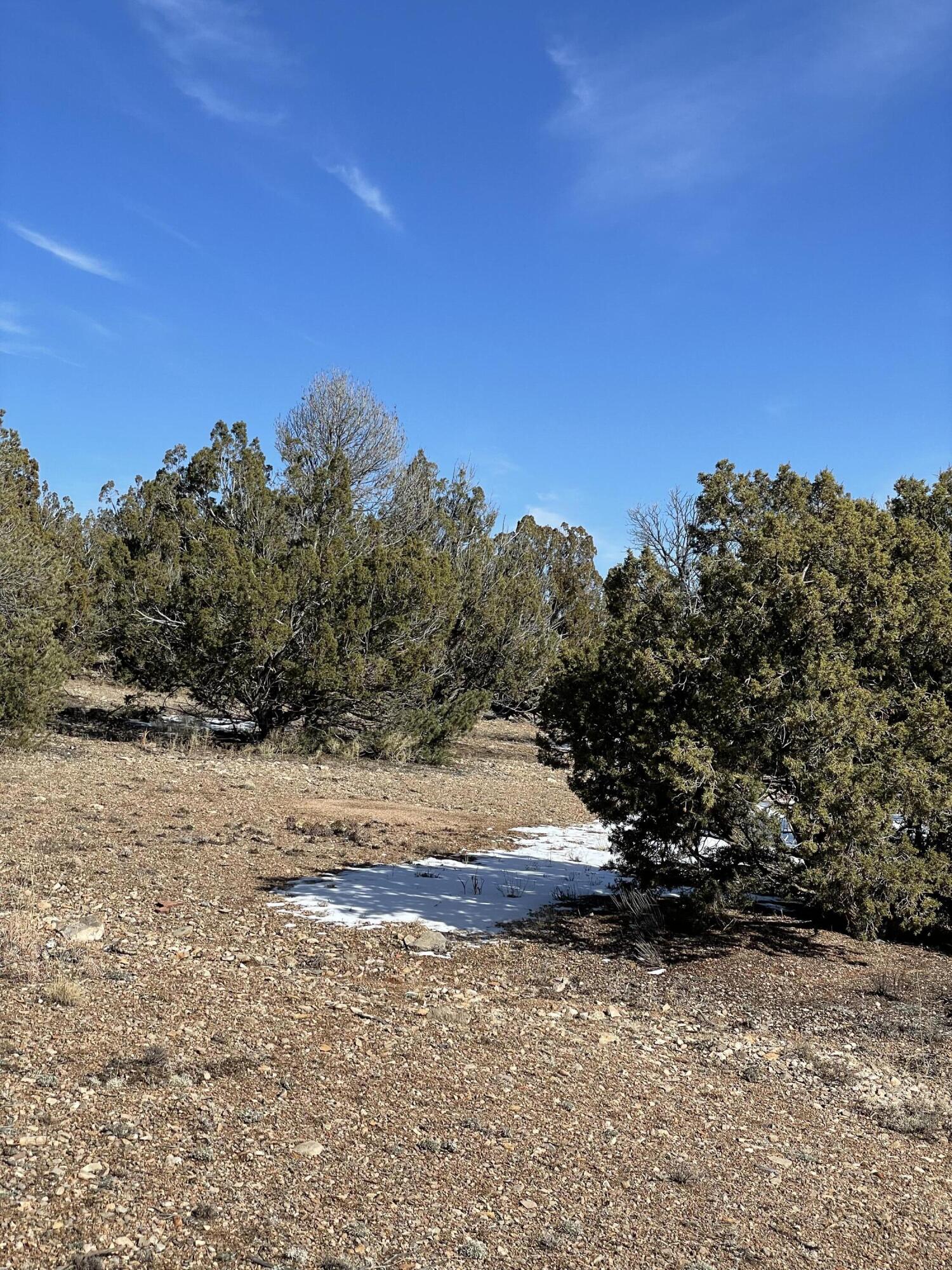 15 Corn Dance Court, Sandia Park, New Mexico image 9