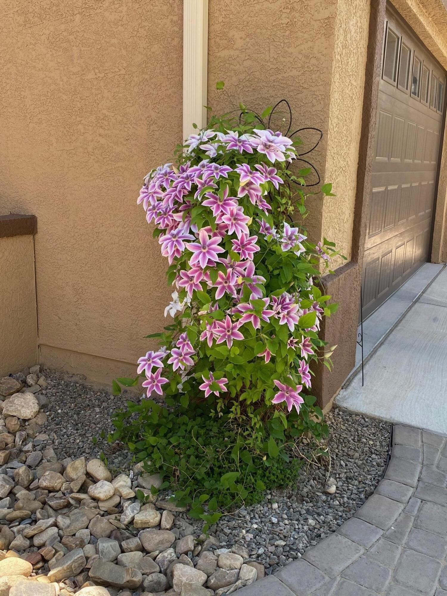 9300 Iron Creek Lane, Albuquerque, New Mexico image 6