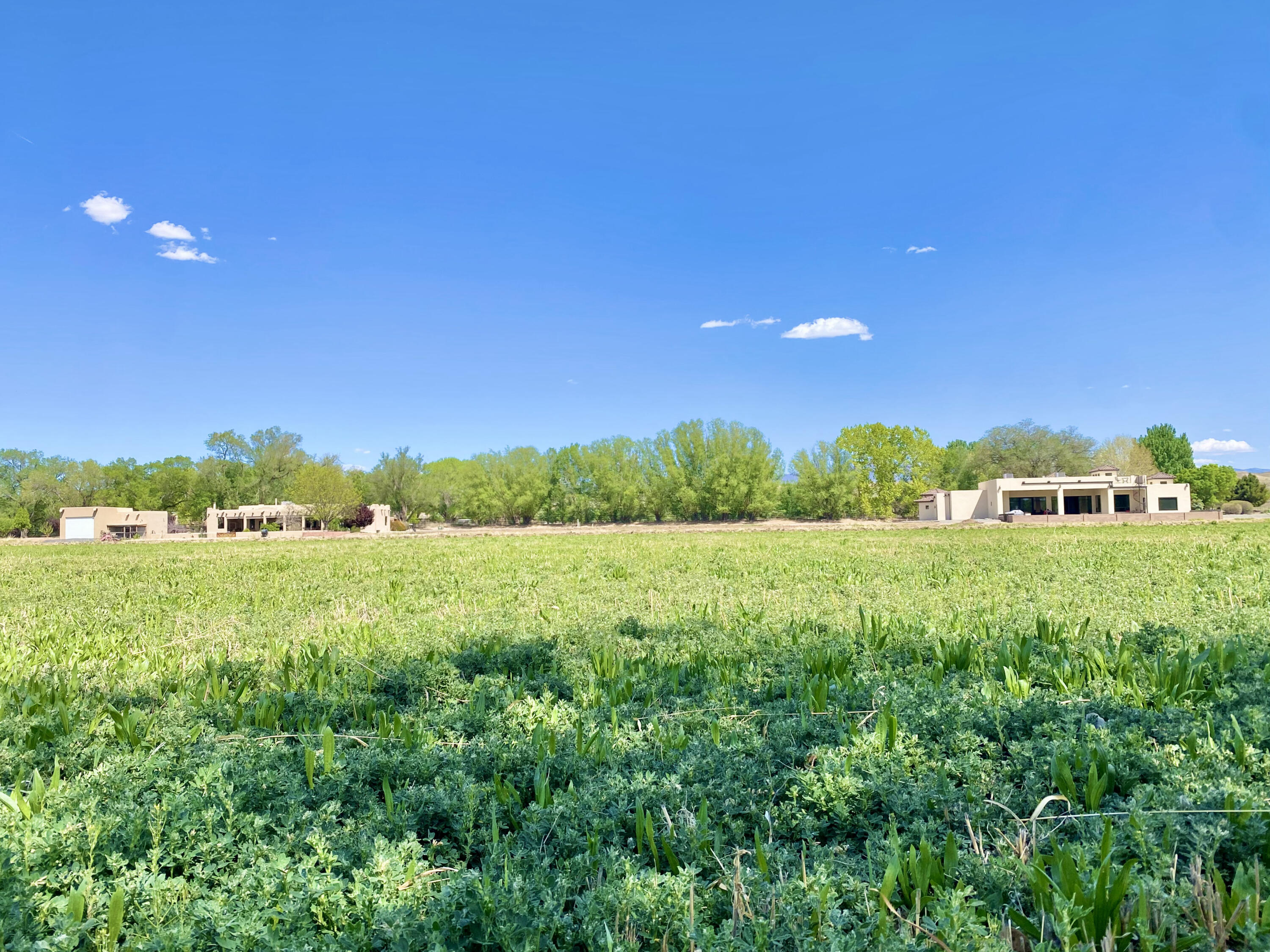 LOT 4 Haciendas Del Valle, Peralta, New Mexico image 2