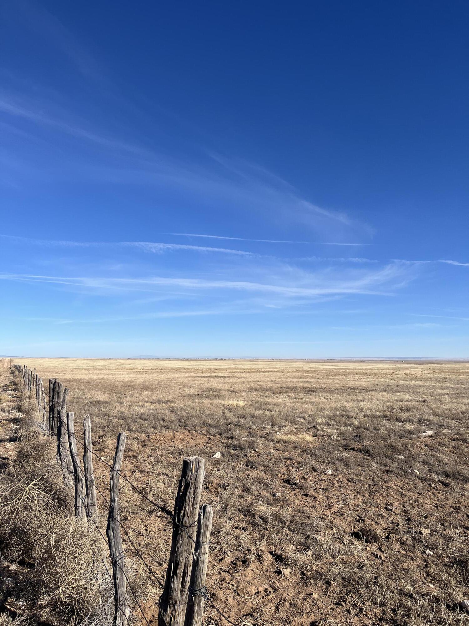 Old Willard Rd, Willard, New Mexico image 4