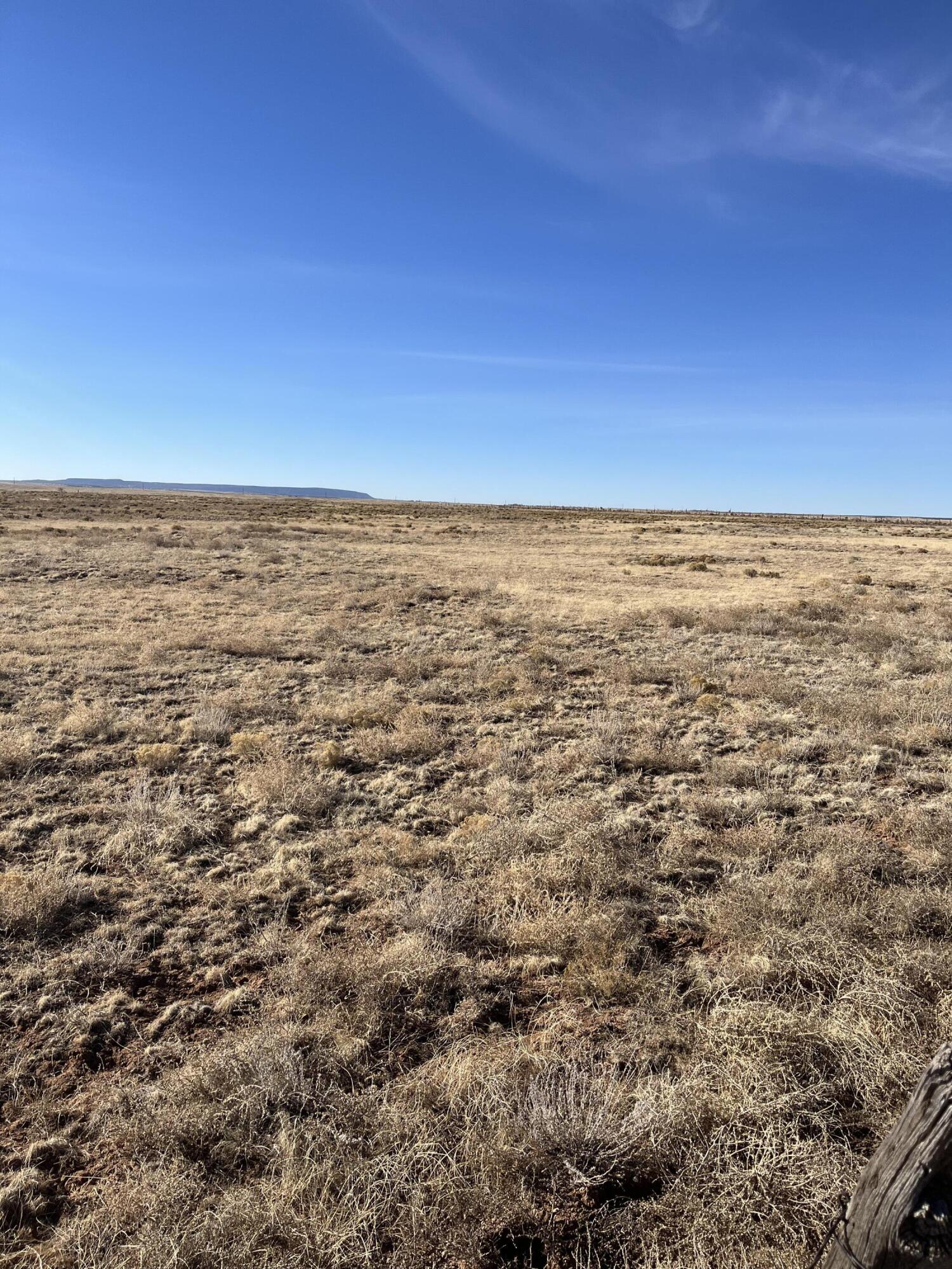 Old Willard Rd, Willard, New Mexico image 2