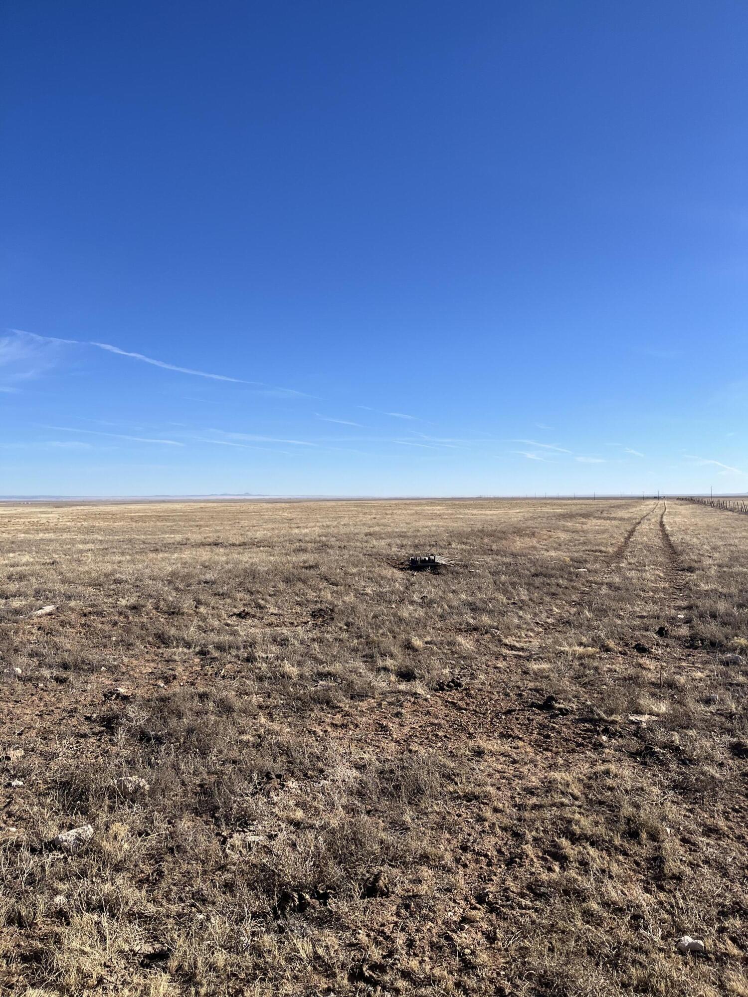 Old Willard Rd, Willard, New Mexico image 5