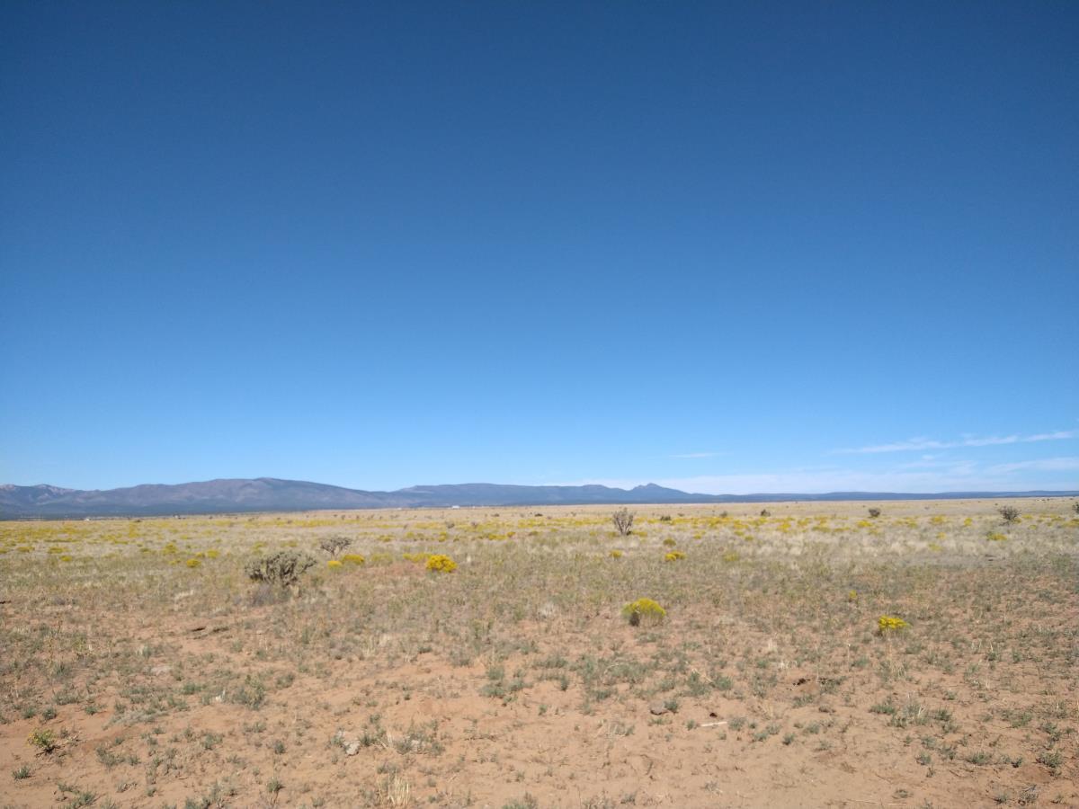 Canta Ranas Rd, Mountainair, New Mexico image 2