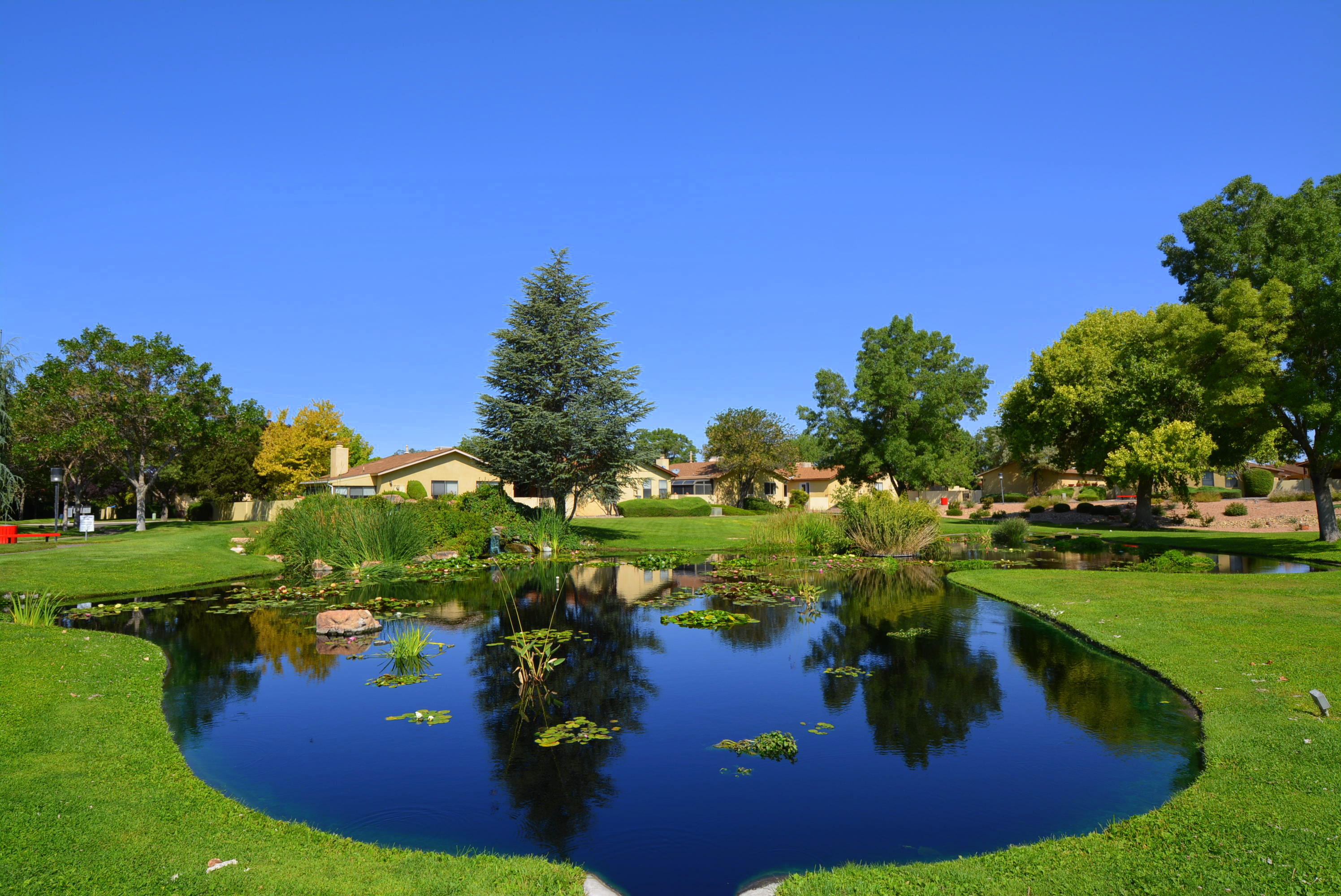 10616 Towne Park Drive, Albuquerque, New Mexico image 20