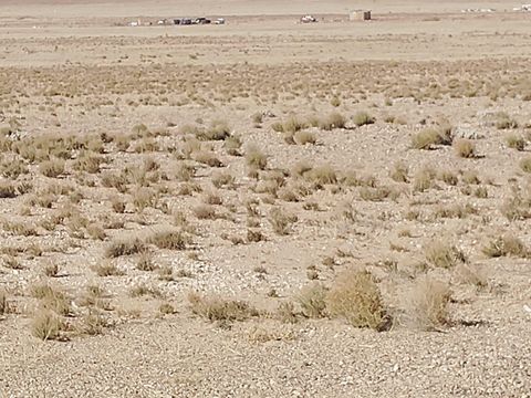 Vacant Land For Sale - Escobar Street<br/> Socorro County, Veguita, NM 87062