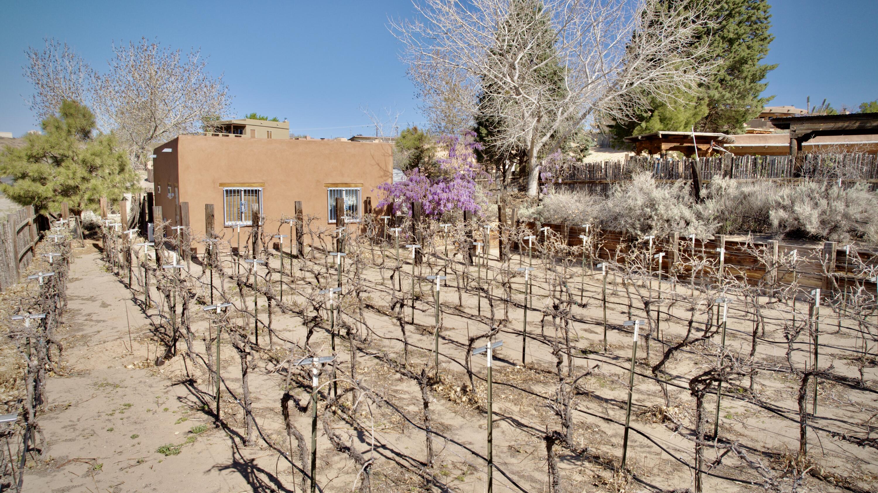 1452 W Meadowlark Lane, Corrales, New Mexico image 48