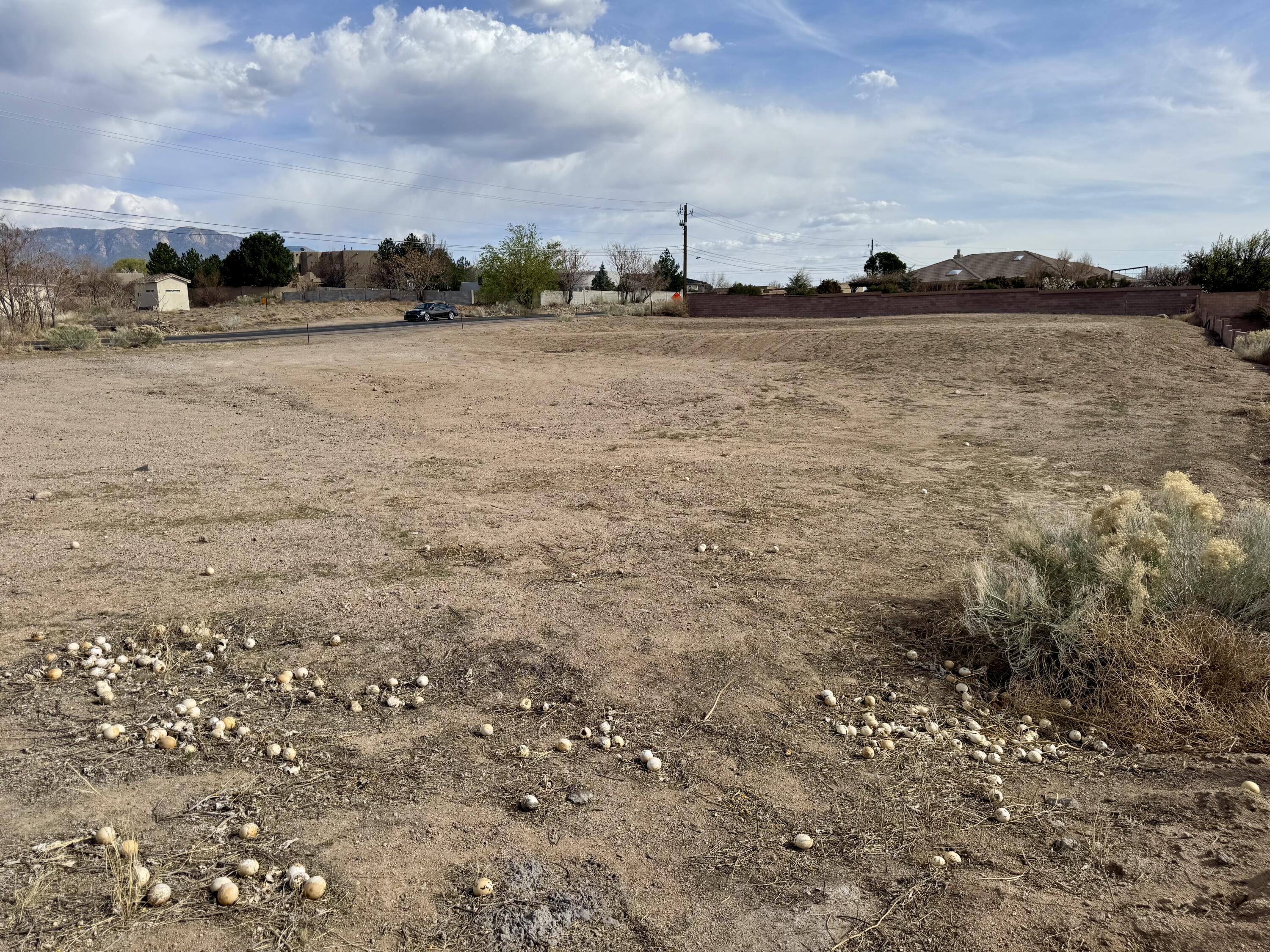 9008 Eagle Rock Avenue, Albuquerque, New Mexico image 4