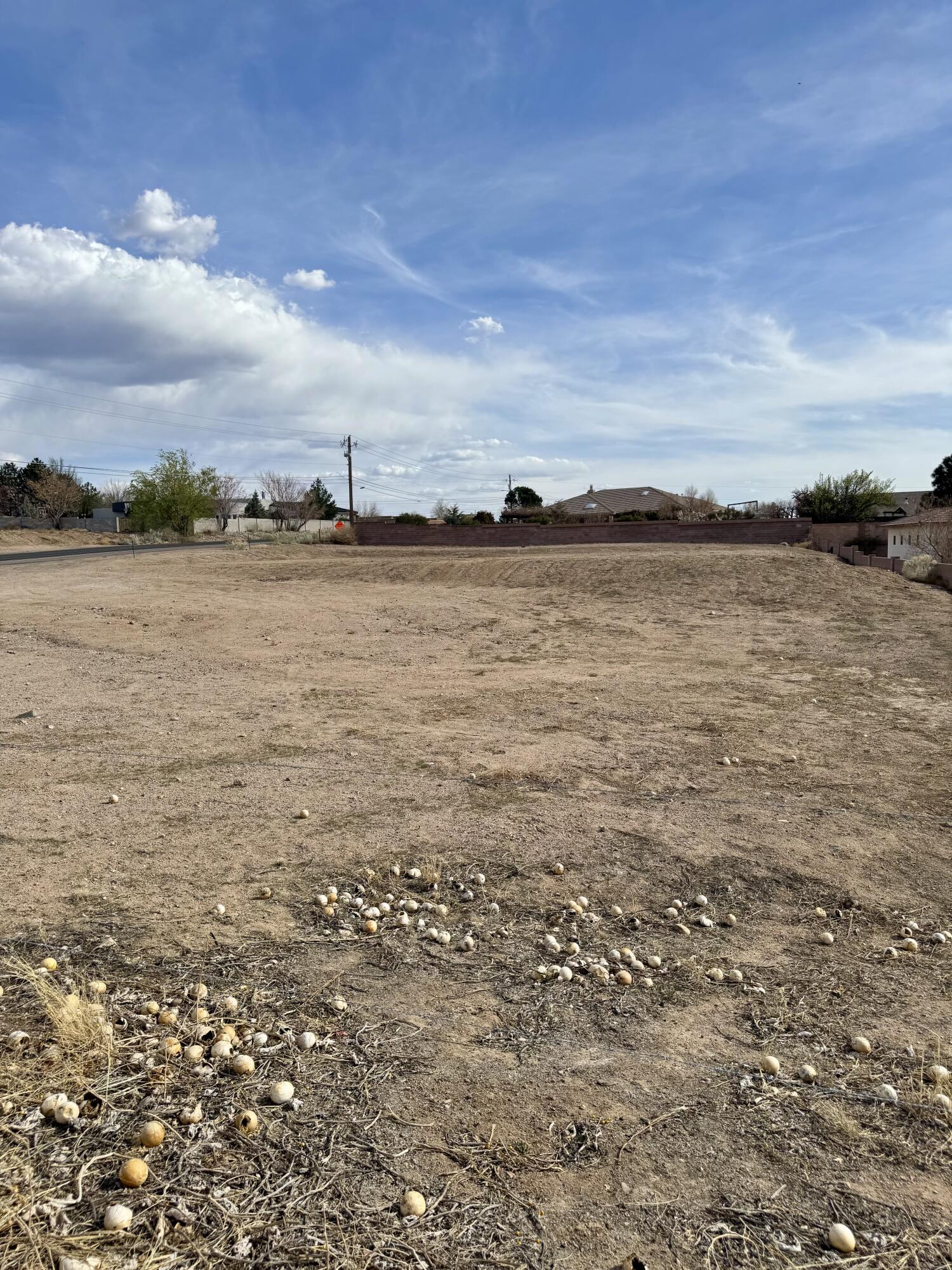 9008 Eagle Rock Avenue, Albuquerque, New Mexico image 3