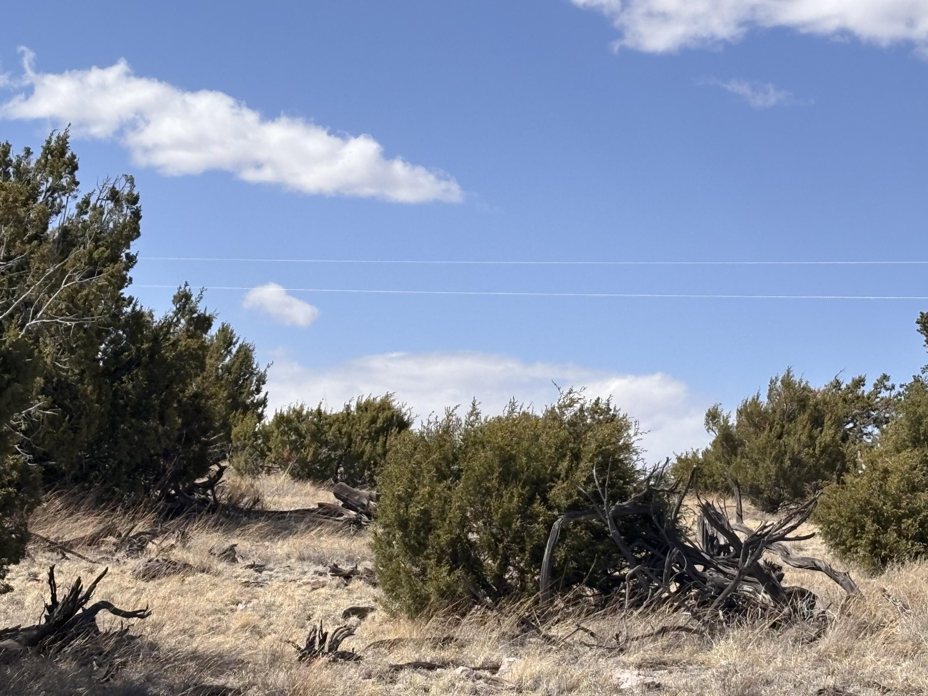Lot 173 Pinon Springs Ranch, Magdalena, New Mexico image 12