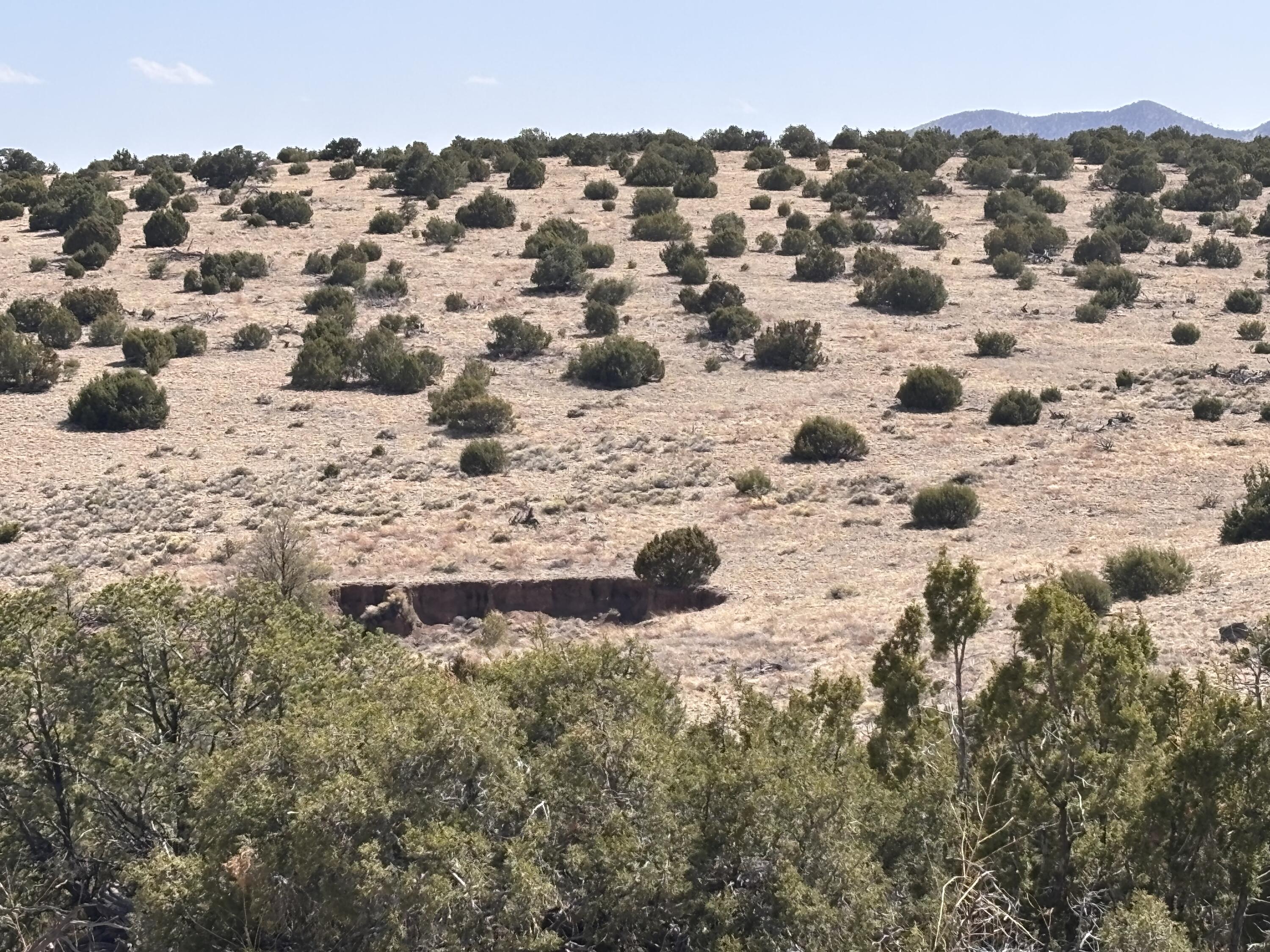 Lot 173 Pinon Springs Ranch, Magdalena, New Mexico image 10