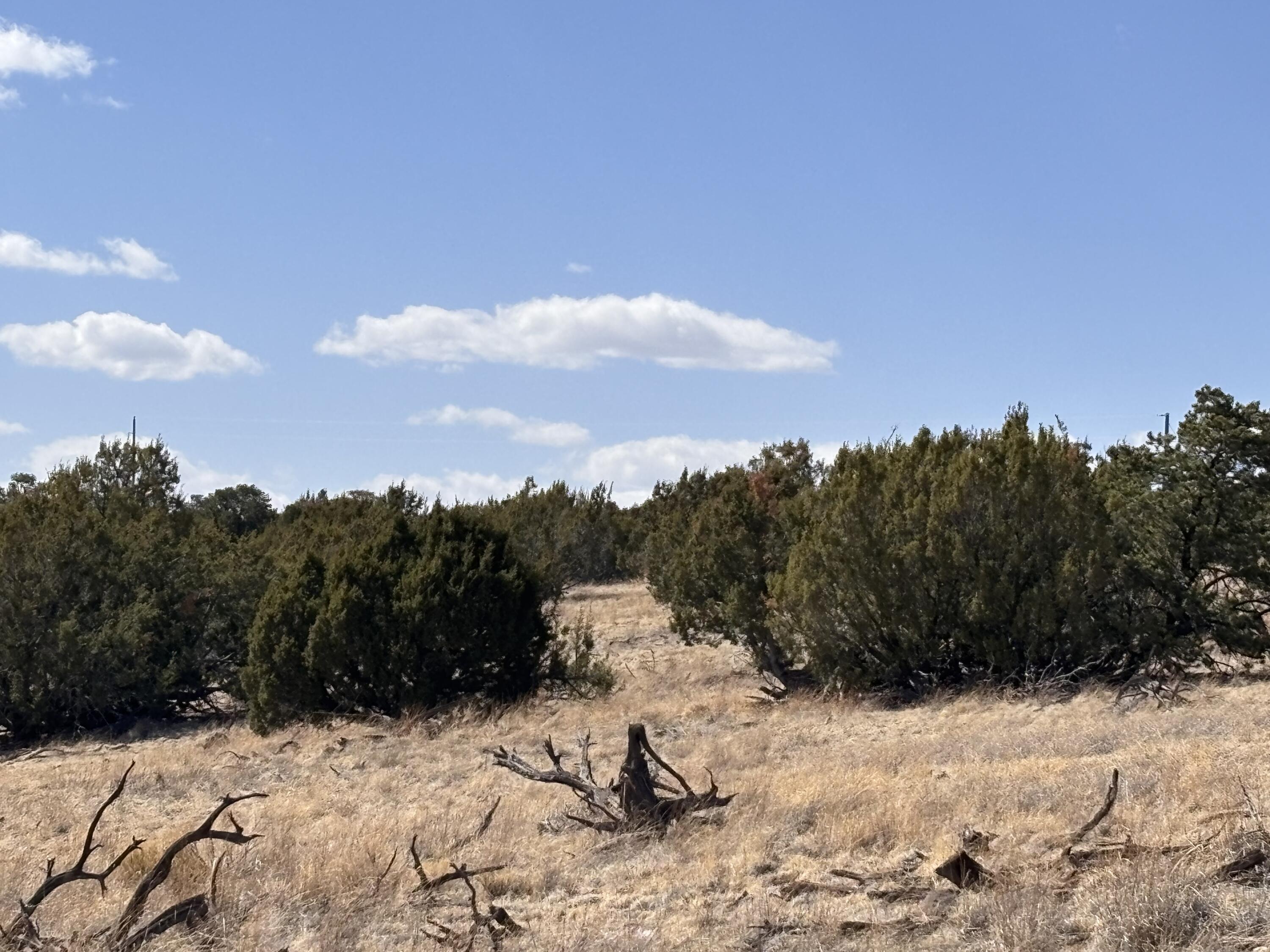 Lot 173 Pinon Springs Ranch, Magdalena, New Mexico image 13