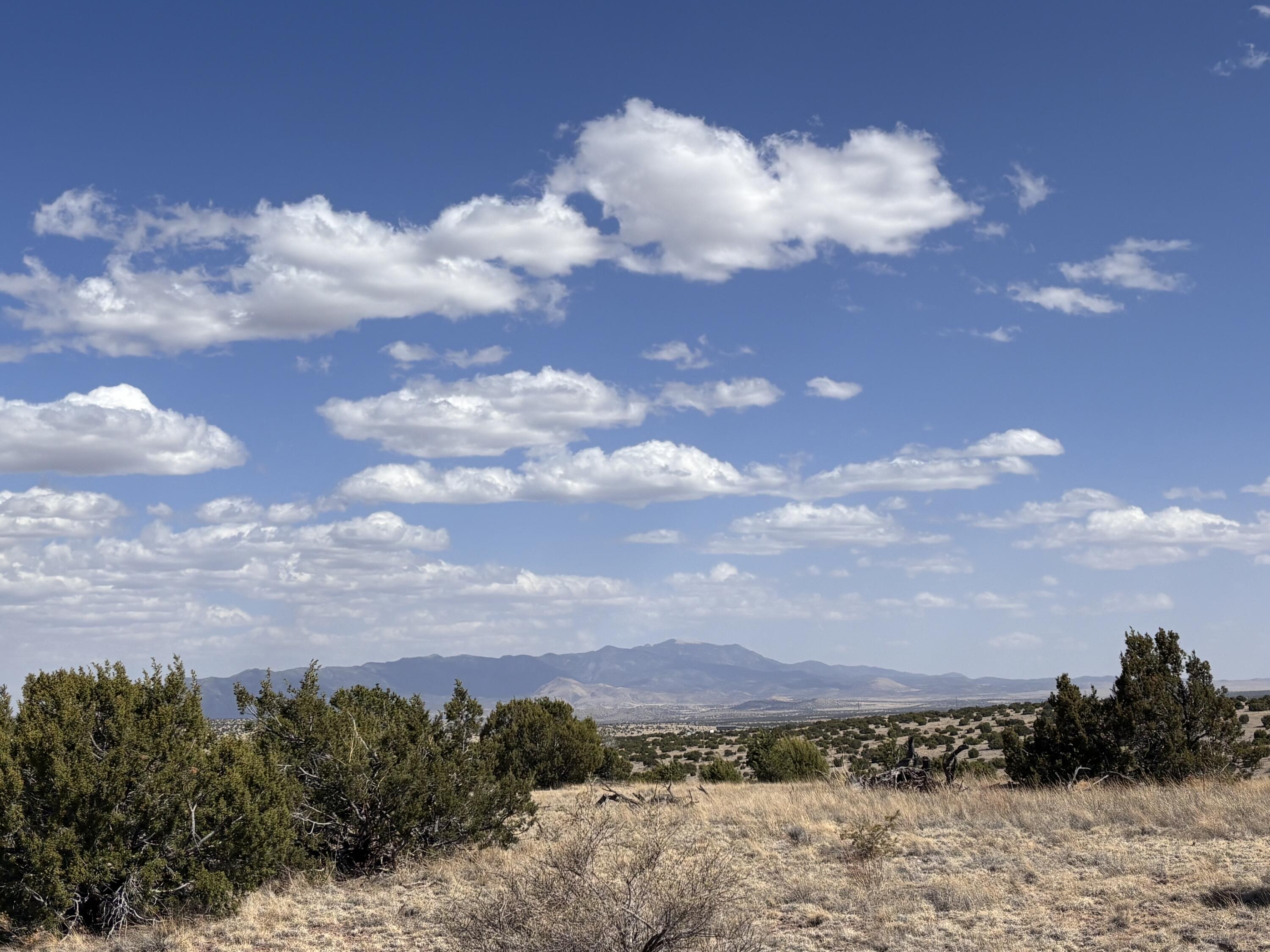 Lot 173 Pinon Springs Ranch, Magdalena, New Mexico image 5