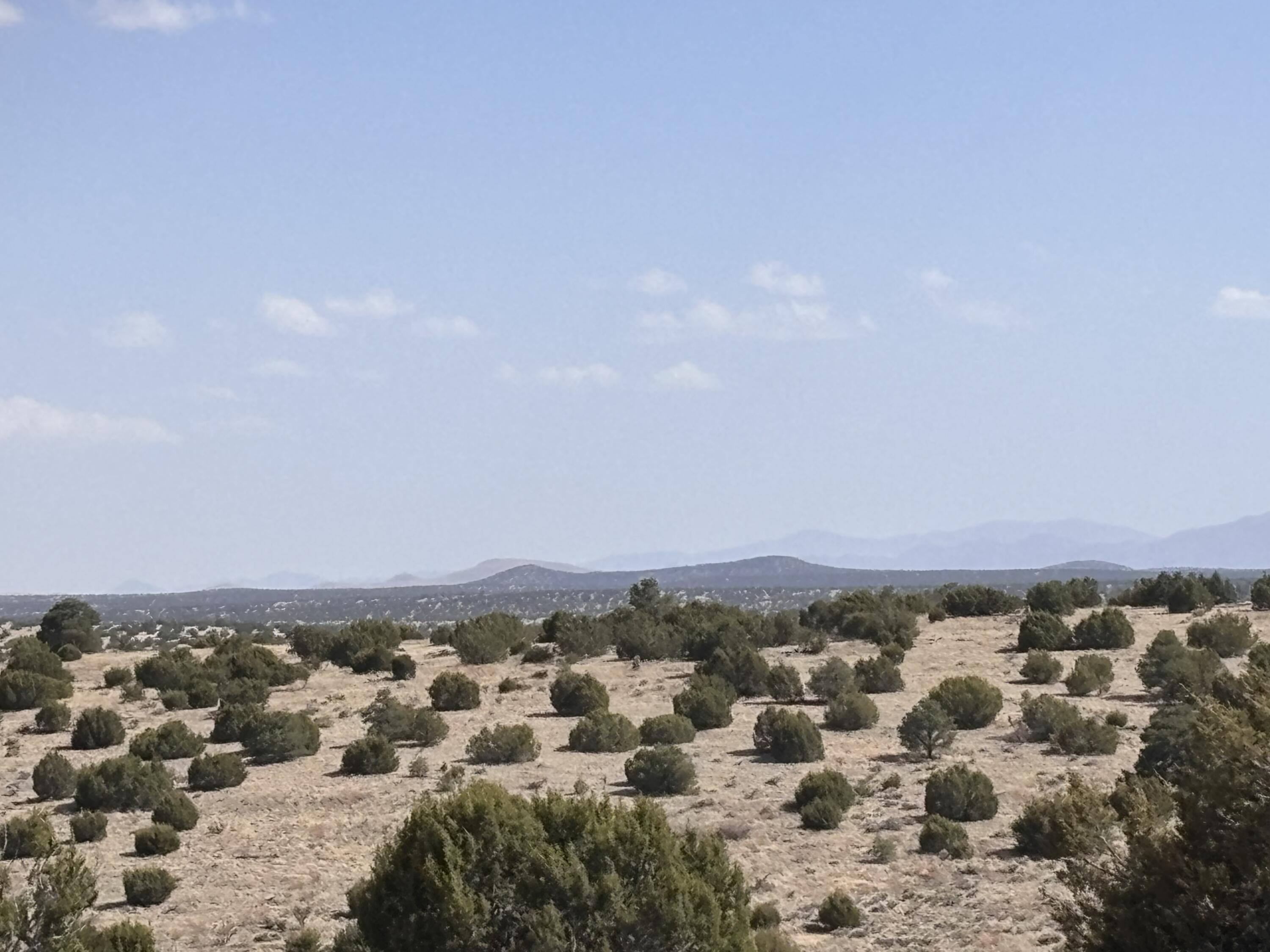 Lot 173 Pinon Springs Ranch, Magdalena, New Mexico image 7