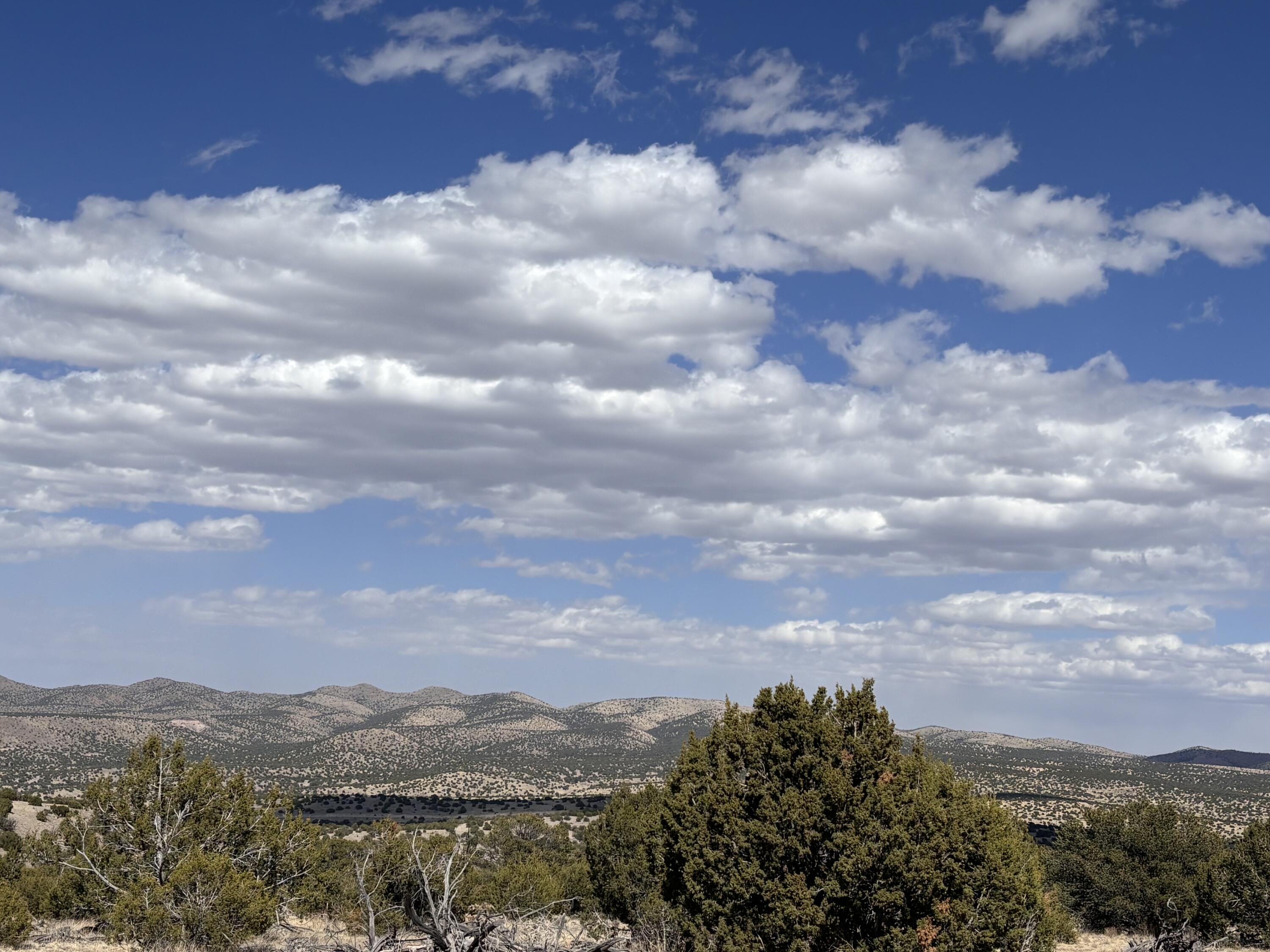 Lot 173 Pinon Springs Ranch, Magdalena, New Mexico image 4