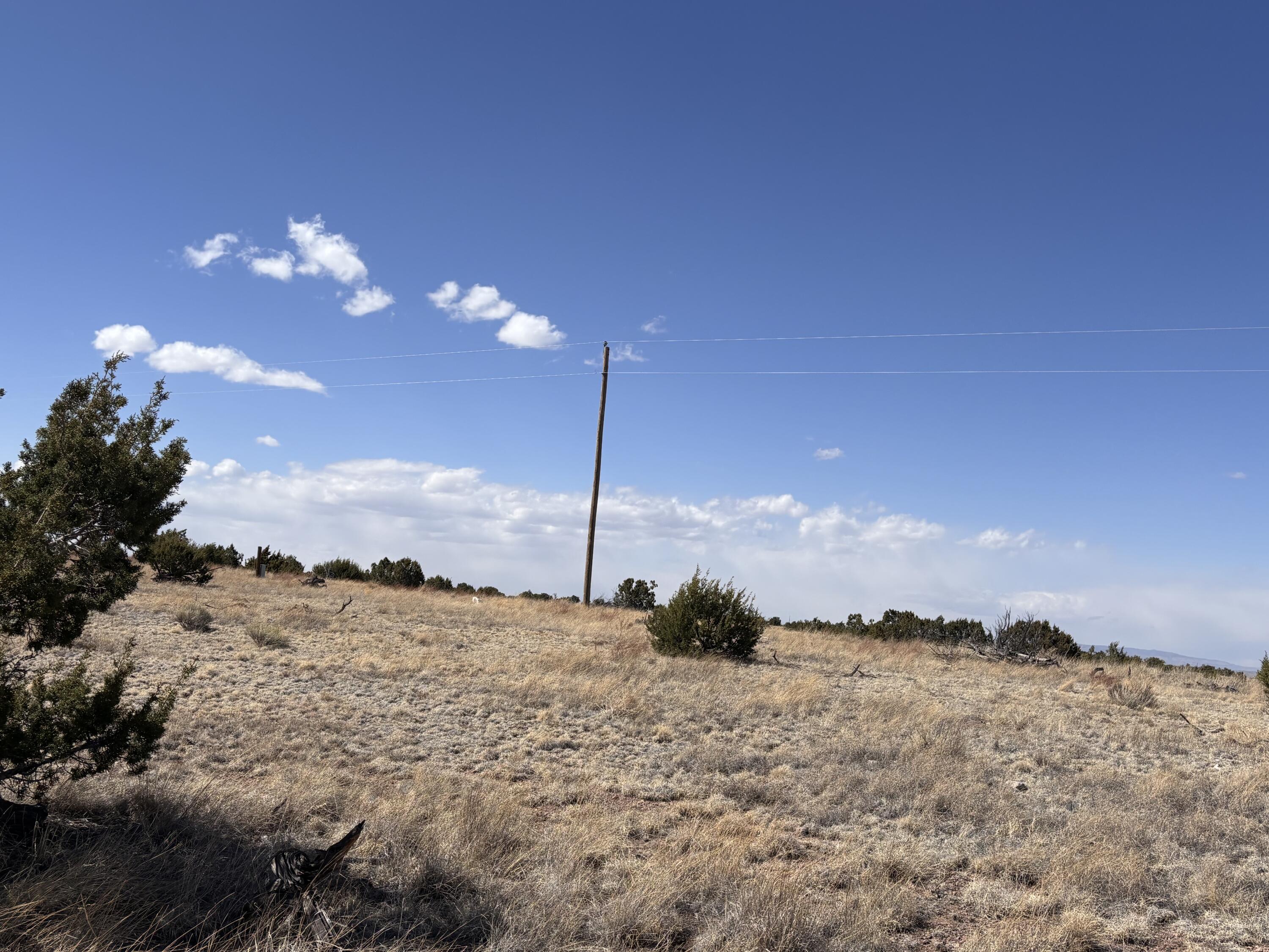 Lot 173 Pinon Springs Ranch, Magdalena, New Mexico image 17