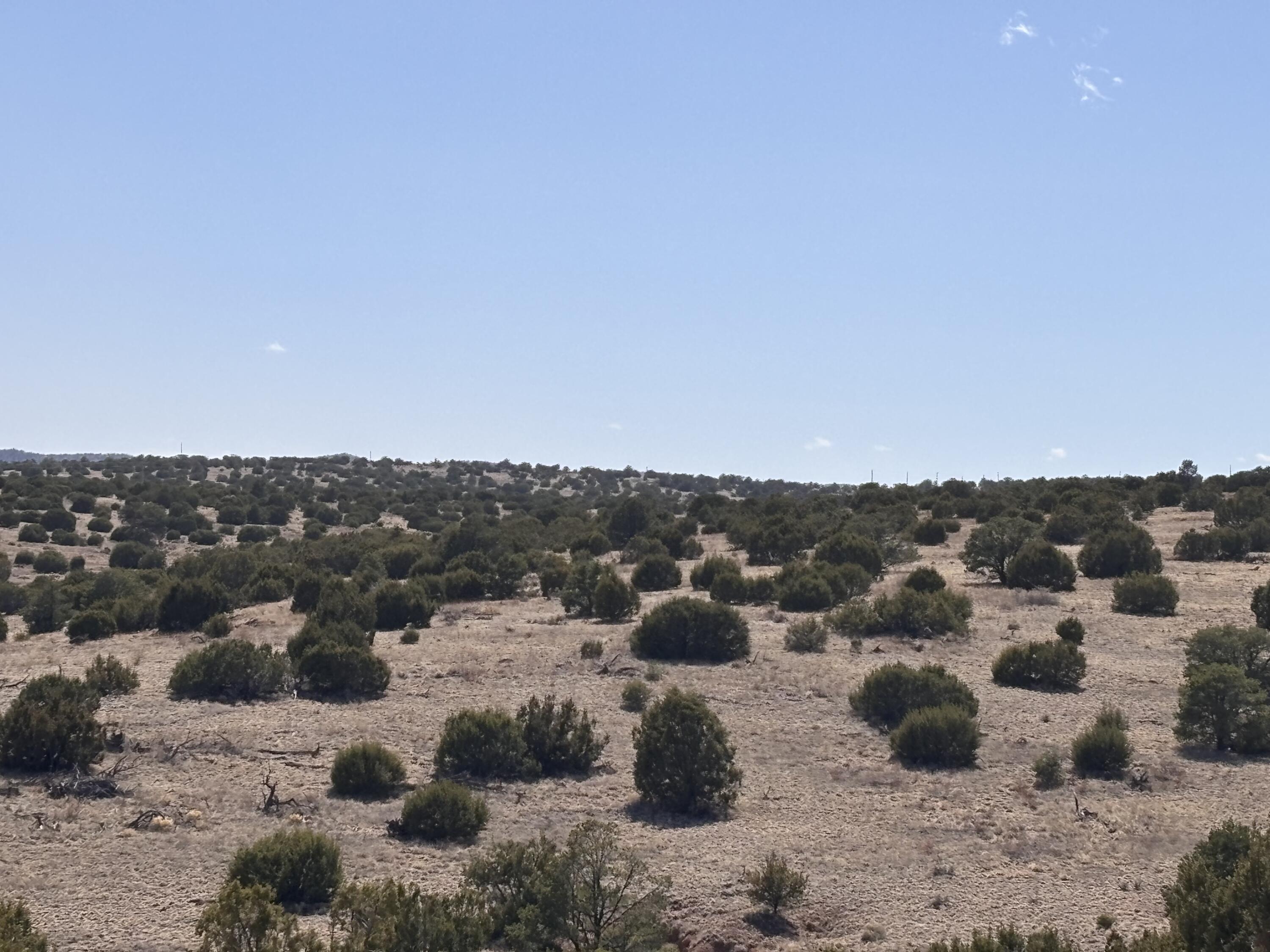 Lot 173 Pinon Springs Ranch, Magdalena, New Mexico image 11