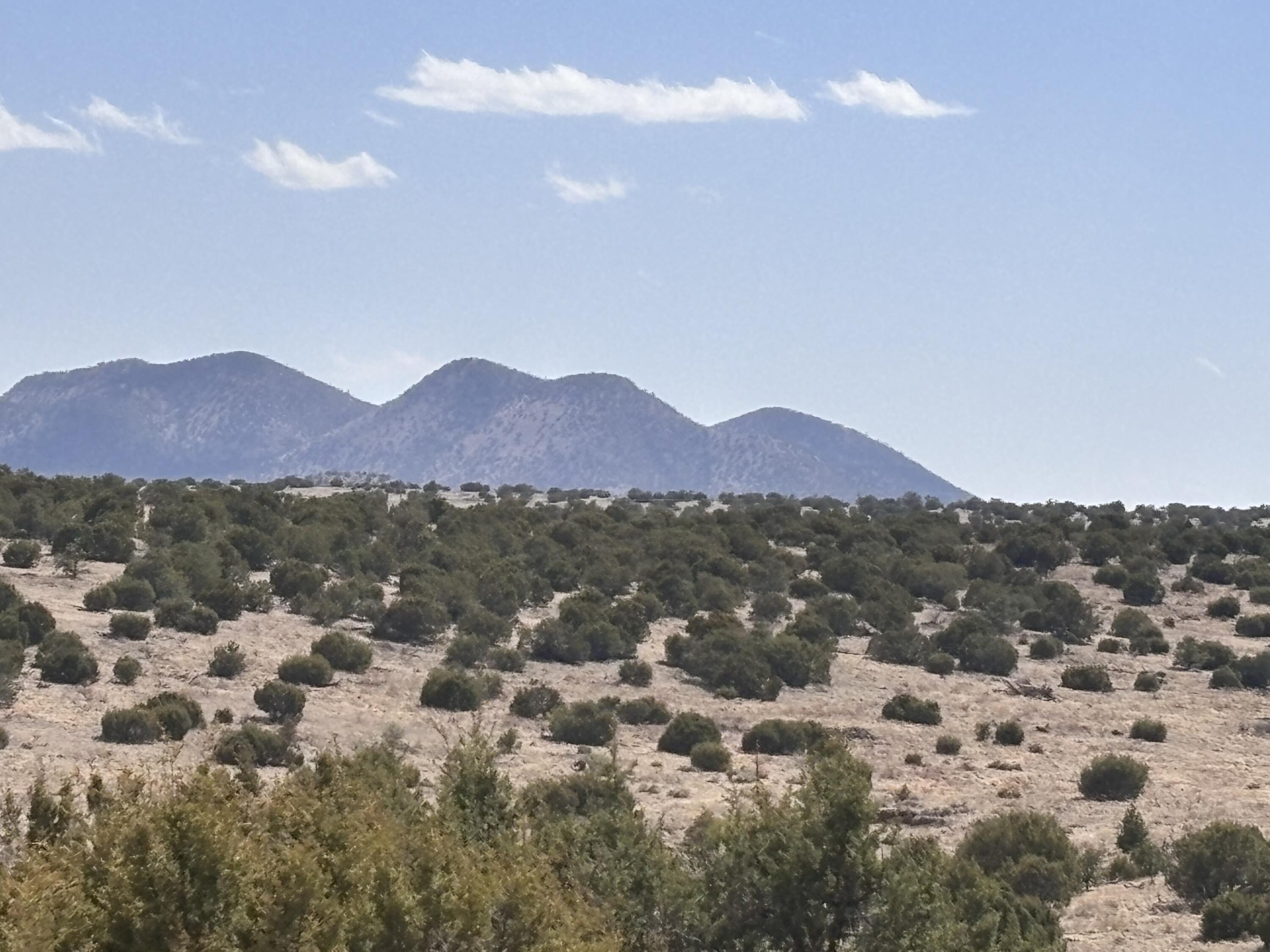 Lot 173 Pinon Springs Ranch, Magdalena, New Mexico image 1