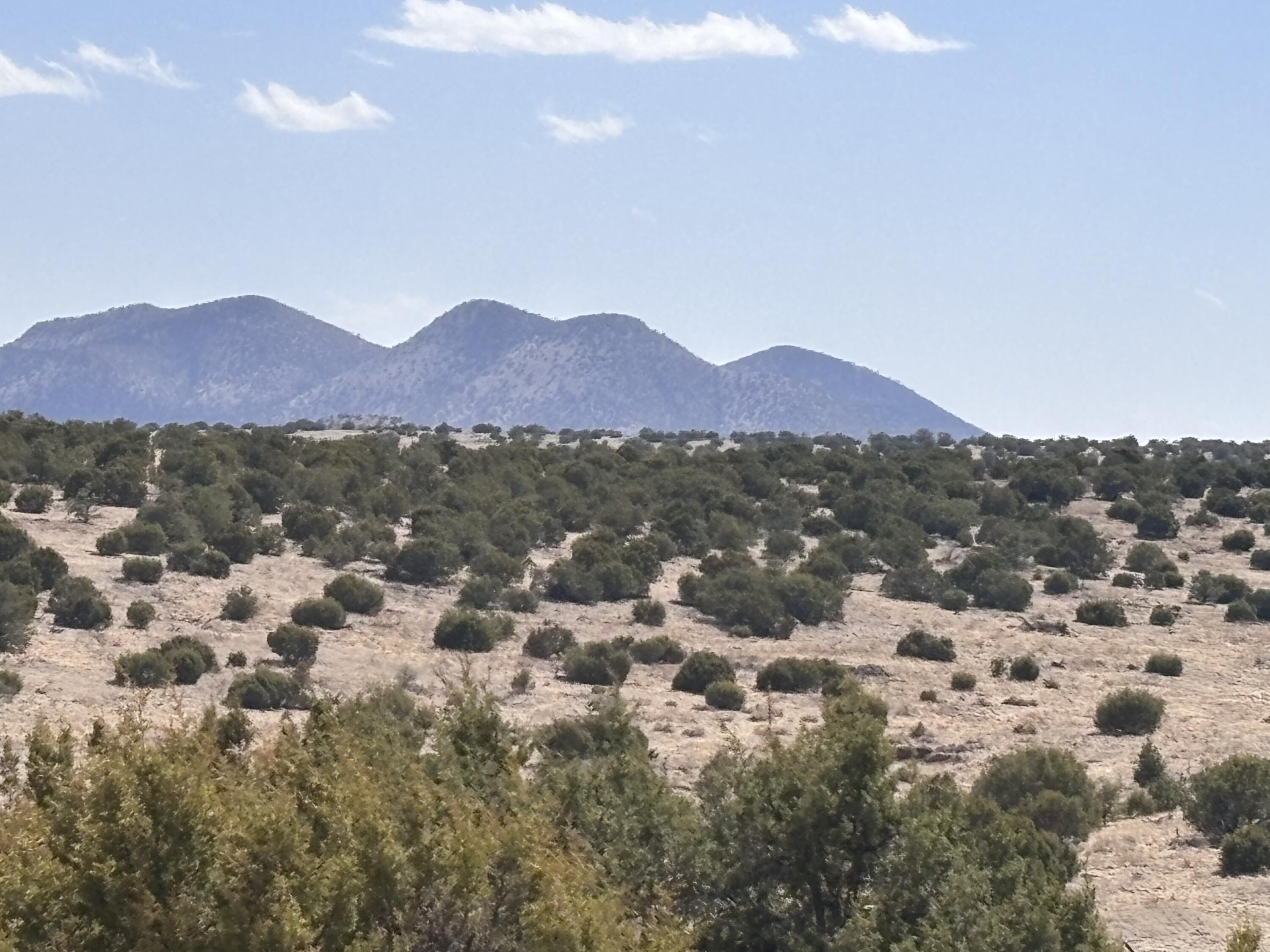 Lot 173 Pinon Springs Ranch, Magdalena, New Mexico image 2
