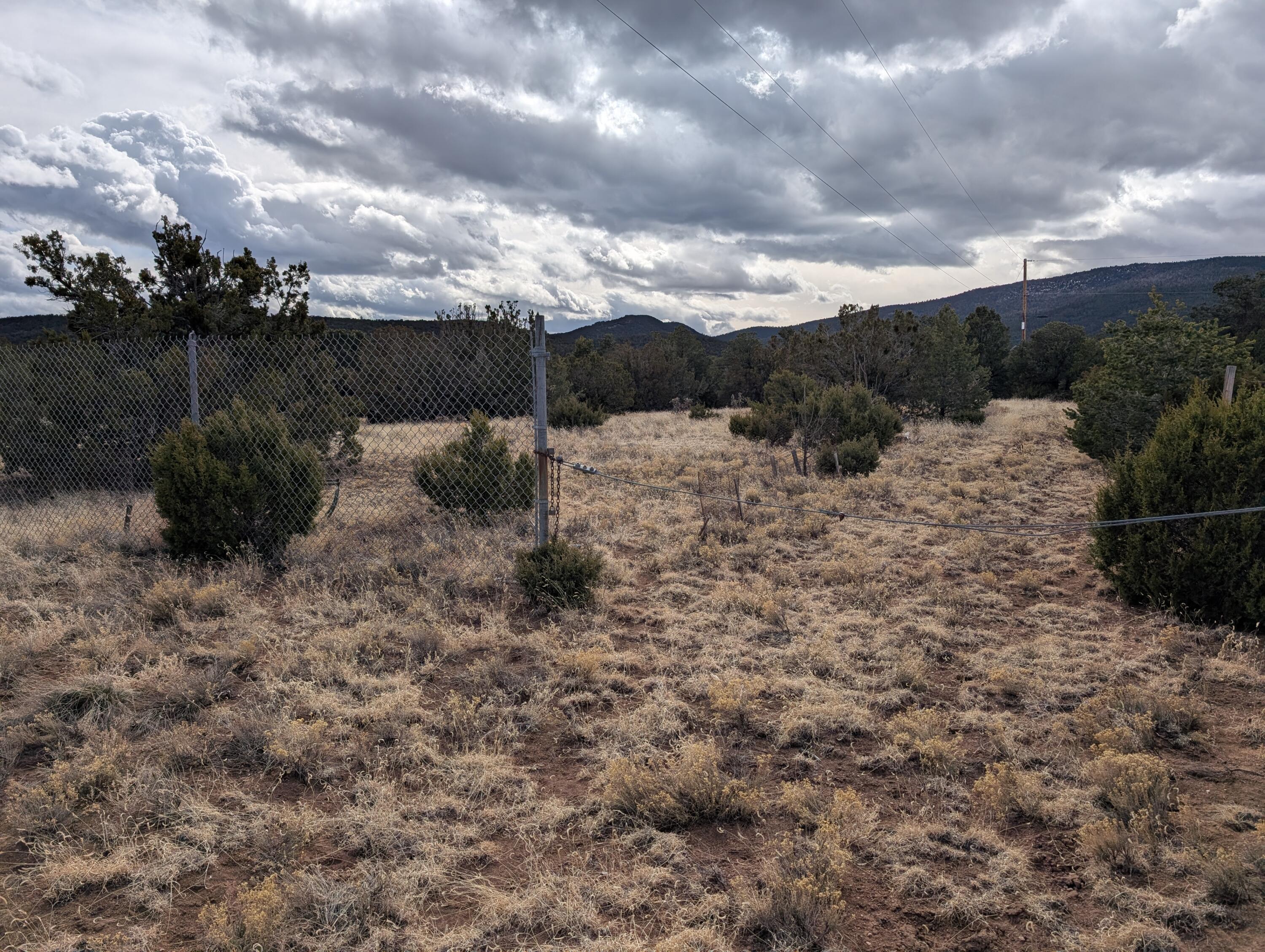 Kings Meadow H-4 Road, Sandia Park, New Mexico image 12