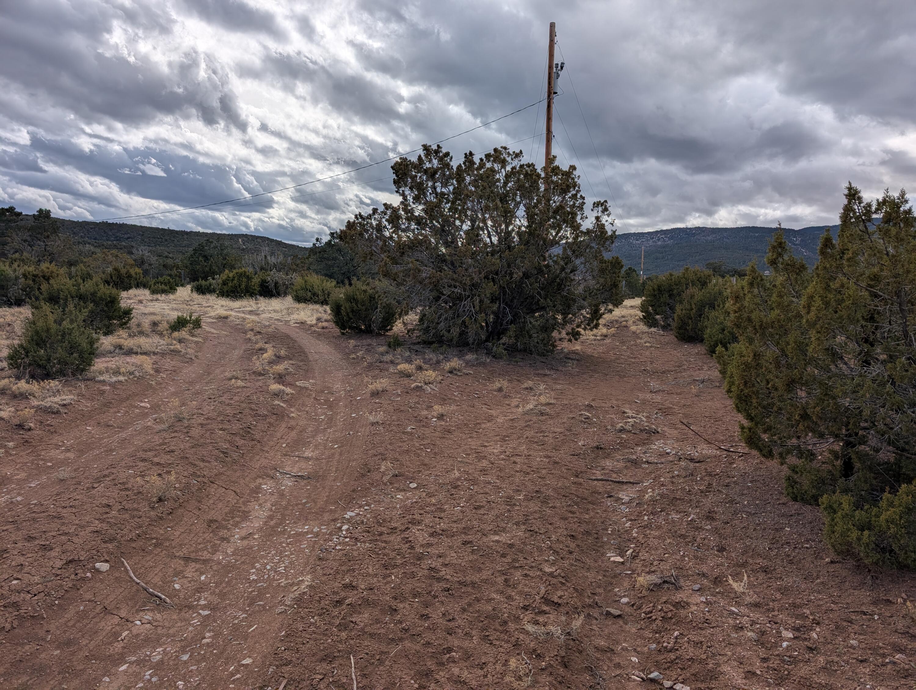 Kings Meadow H-4 Road, Sandia Park, New Mexico image 10