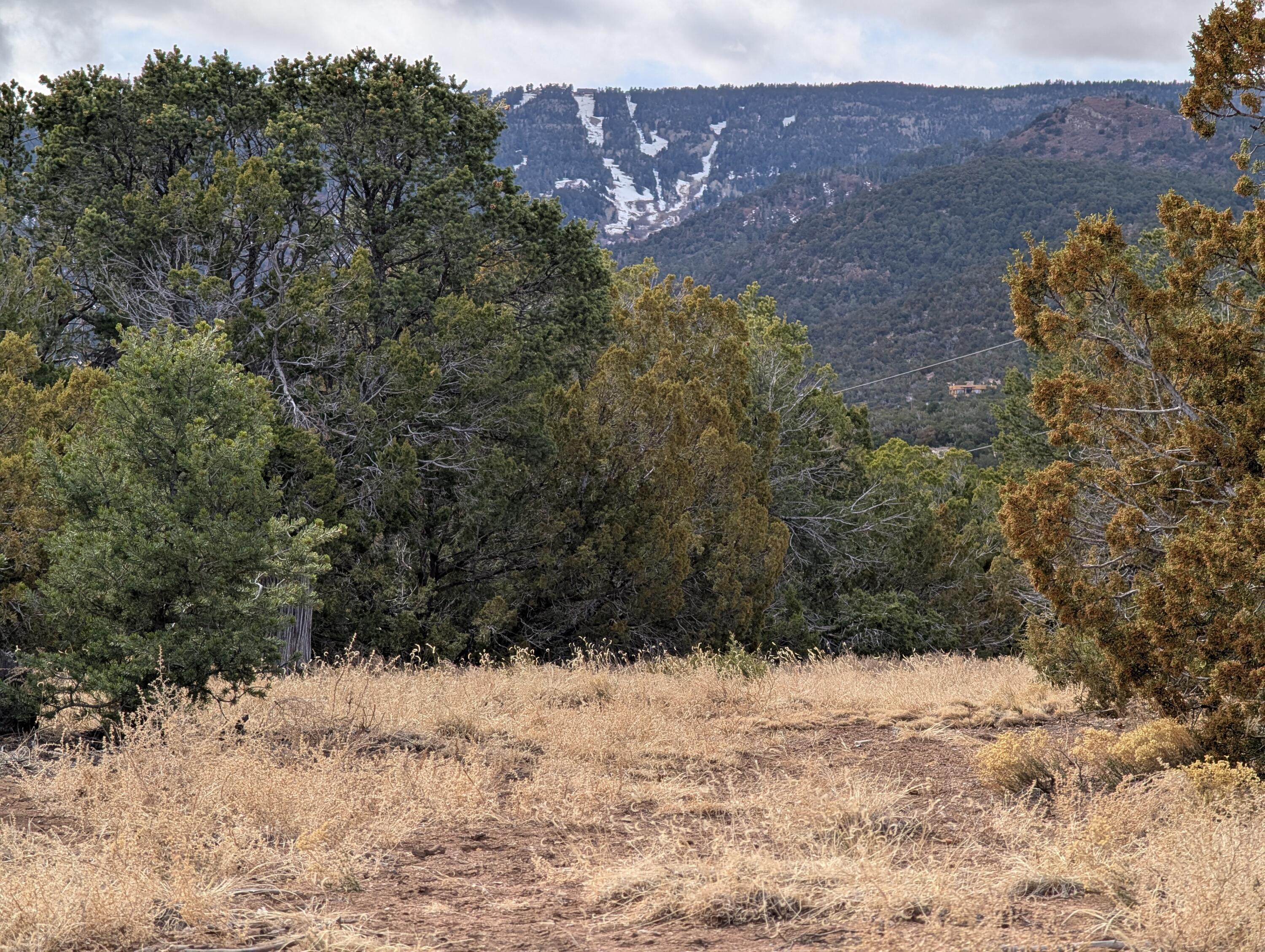 Kings Meadow H-4 Road, Sandia Park, New Mexico image 1