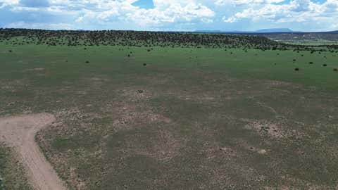 Vacant Land For Sale - LOT 169 Deer Circle Cir<br/> Quemado, NM 87829