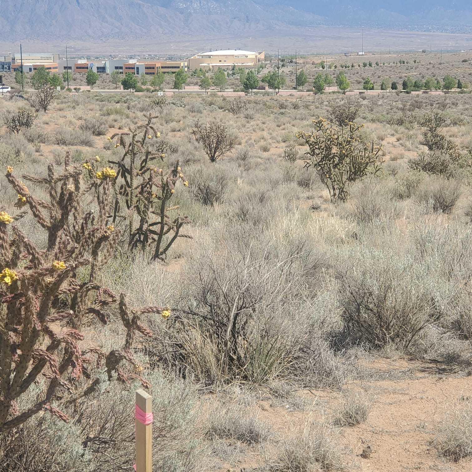 1813 King Boulevard, Rio Rancho, New Mexico image 3