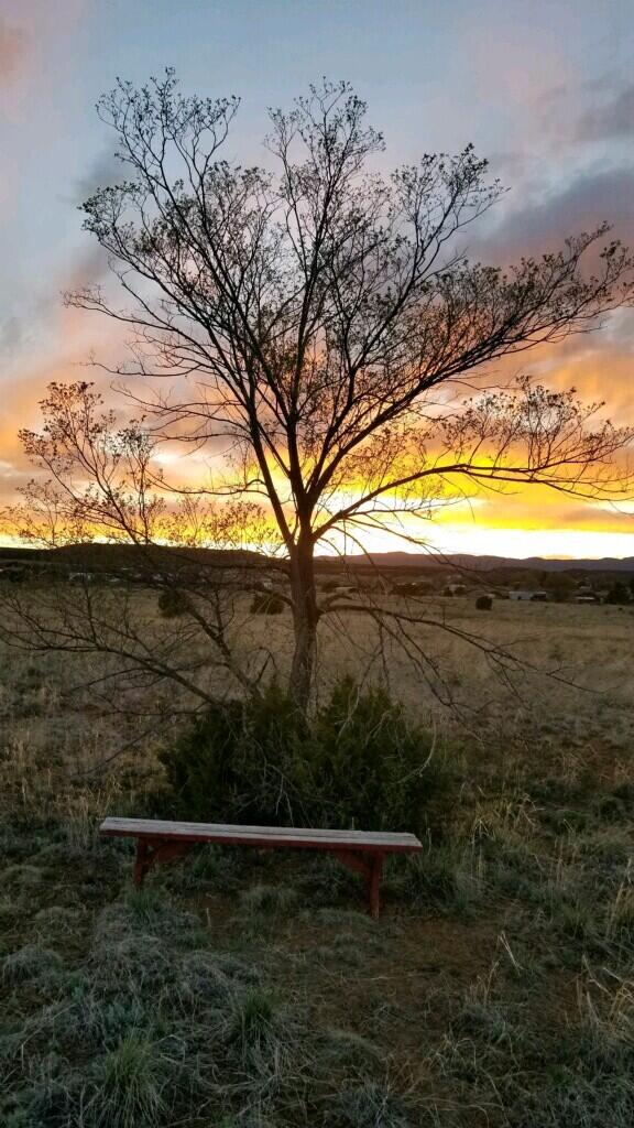 20 Reubens Lane, Edgewood, New Mexico image 31