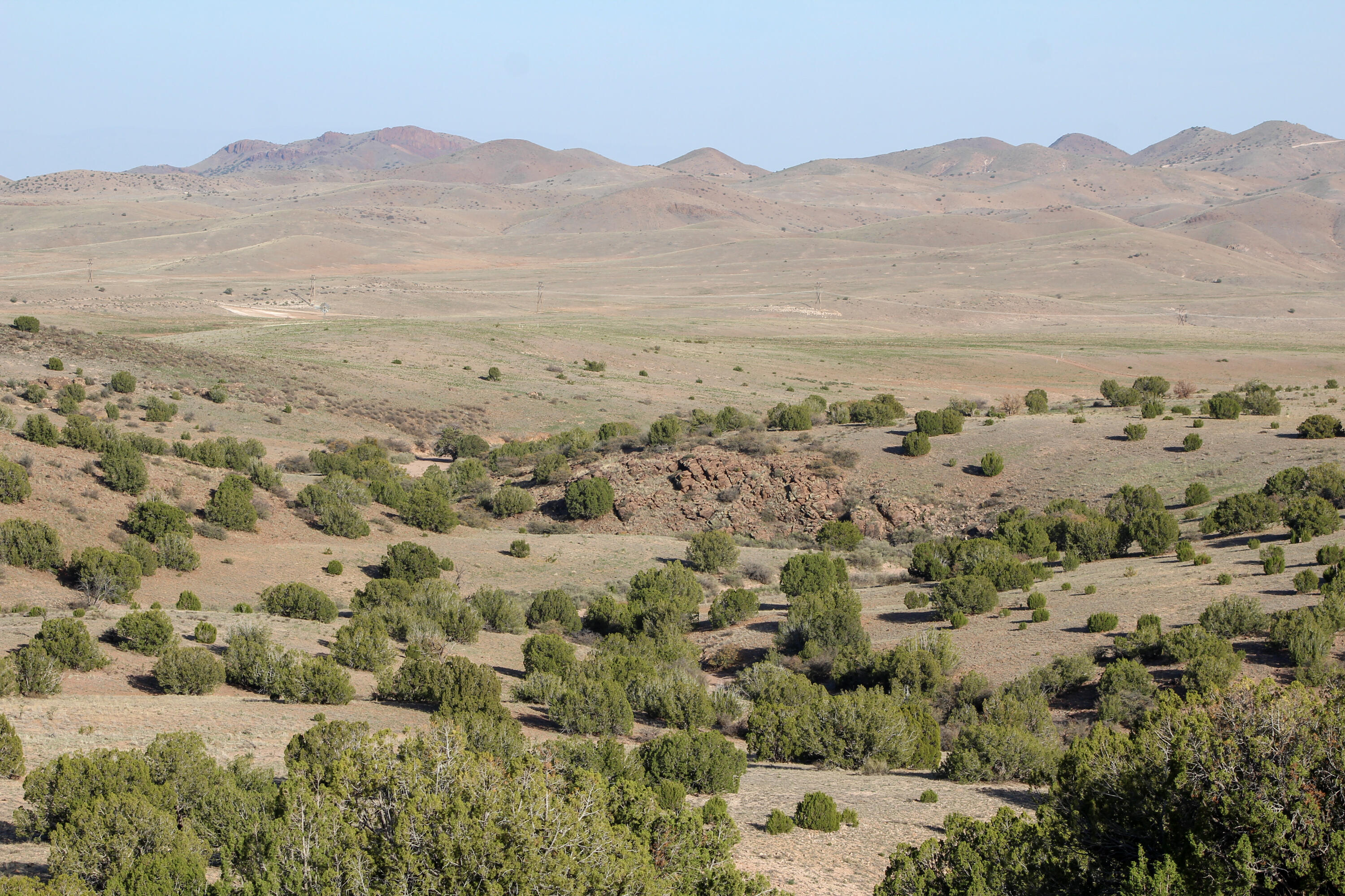 Antelope Run, Magdalena, New Mexico image 29