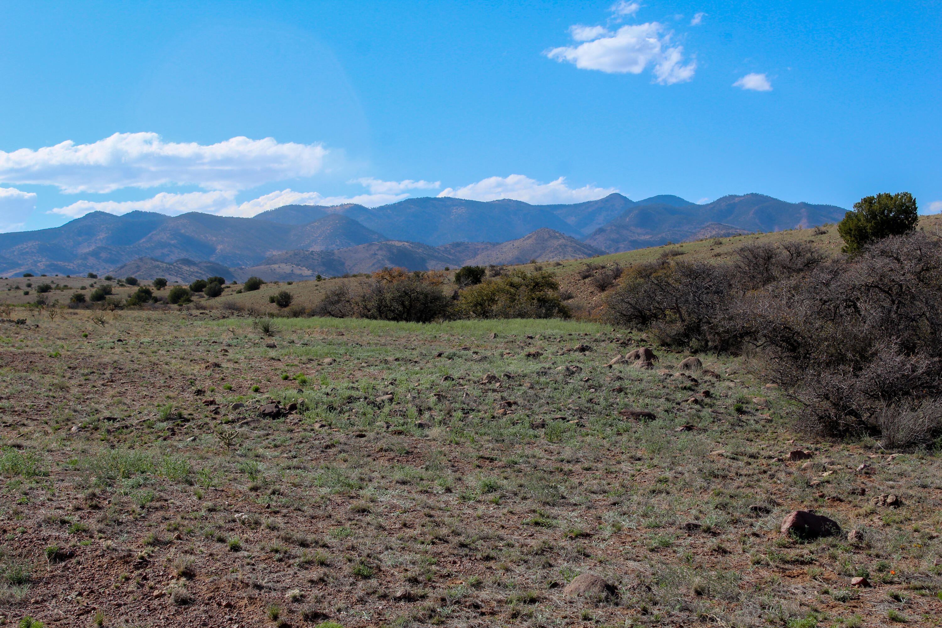 Antelope Run, Magdalena, New Mexico image 6