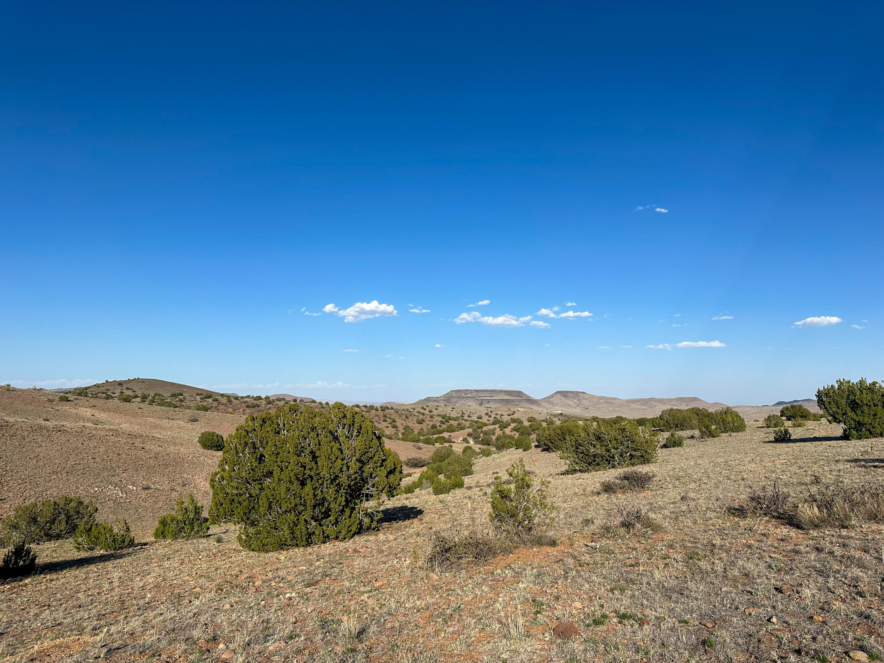 Antelope Run, Magdalena, New Mexico image 44