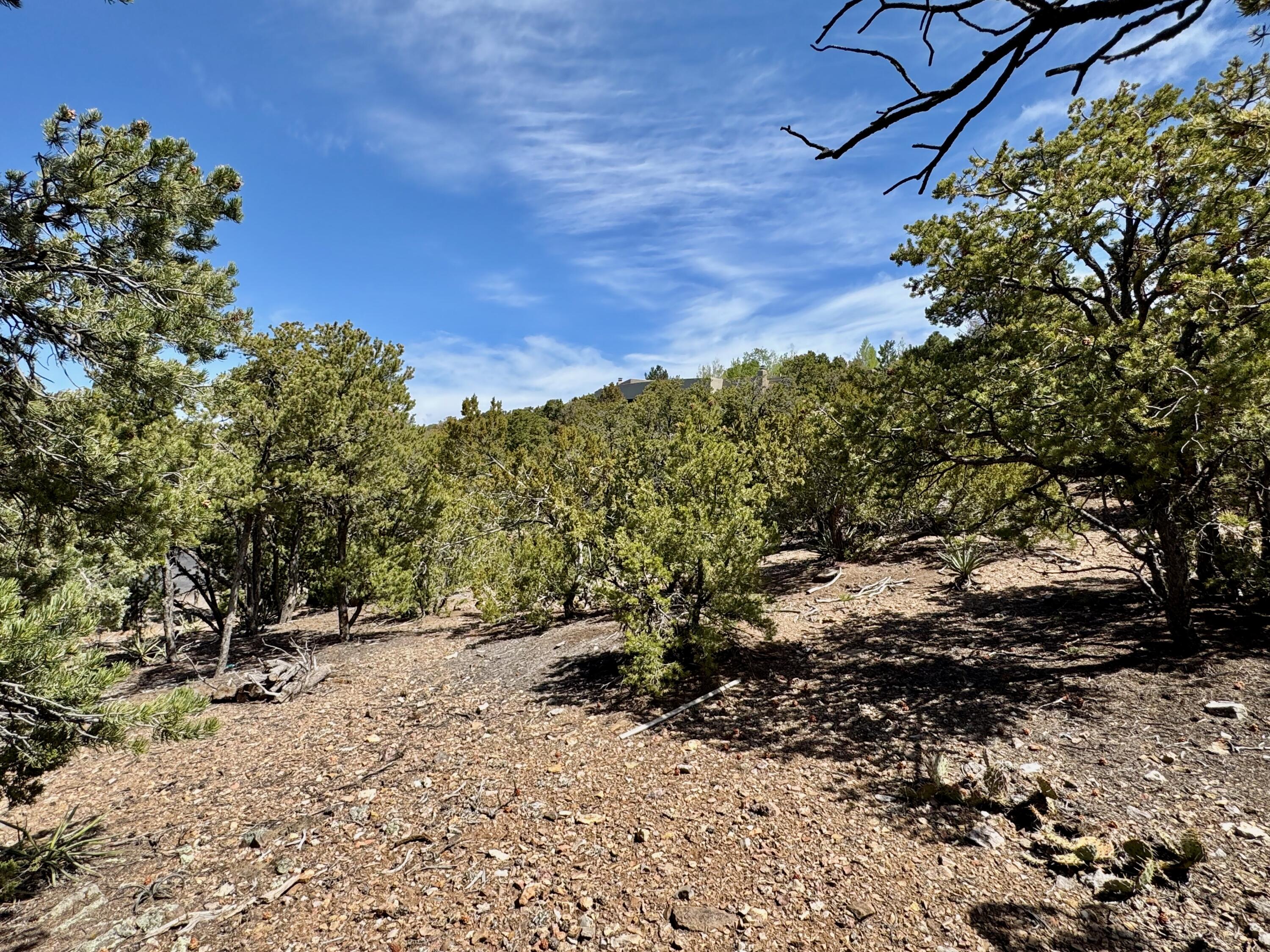 S Summit Drive, Santa Fe, New Mexico image 20