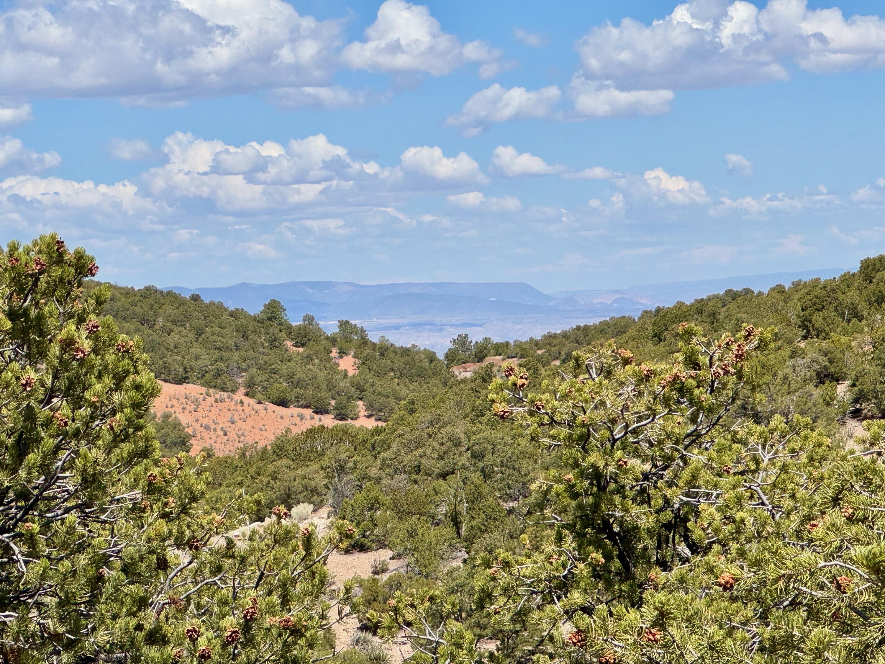 S Summit Drive, Santa Fe, New Mexico image 28