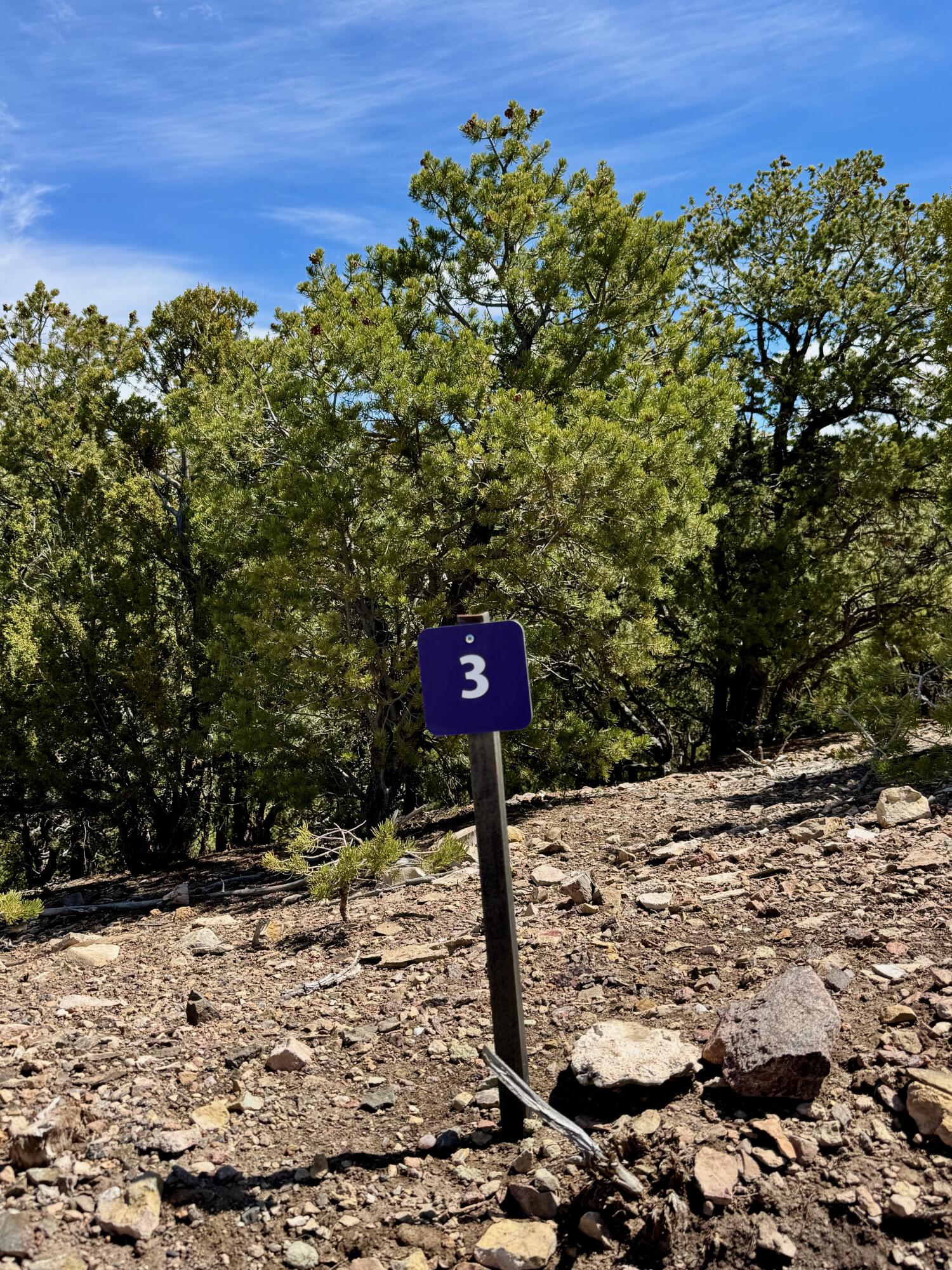 S Summit Drive, Santa Fe, New Mexico image 33