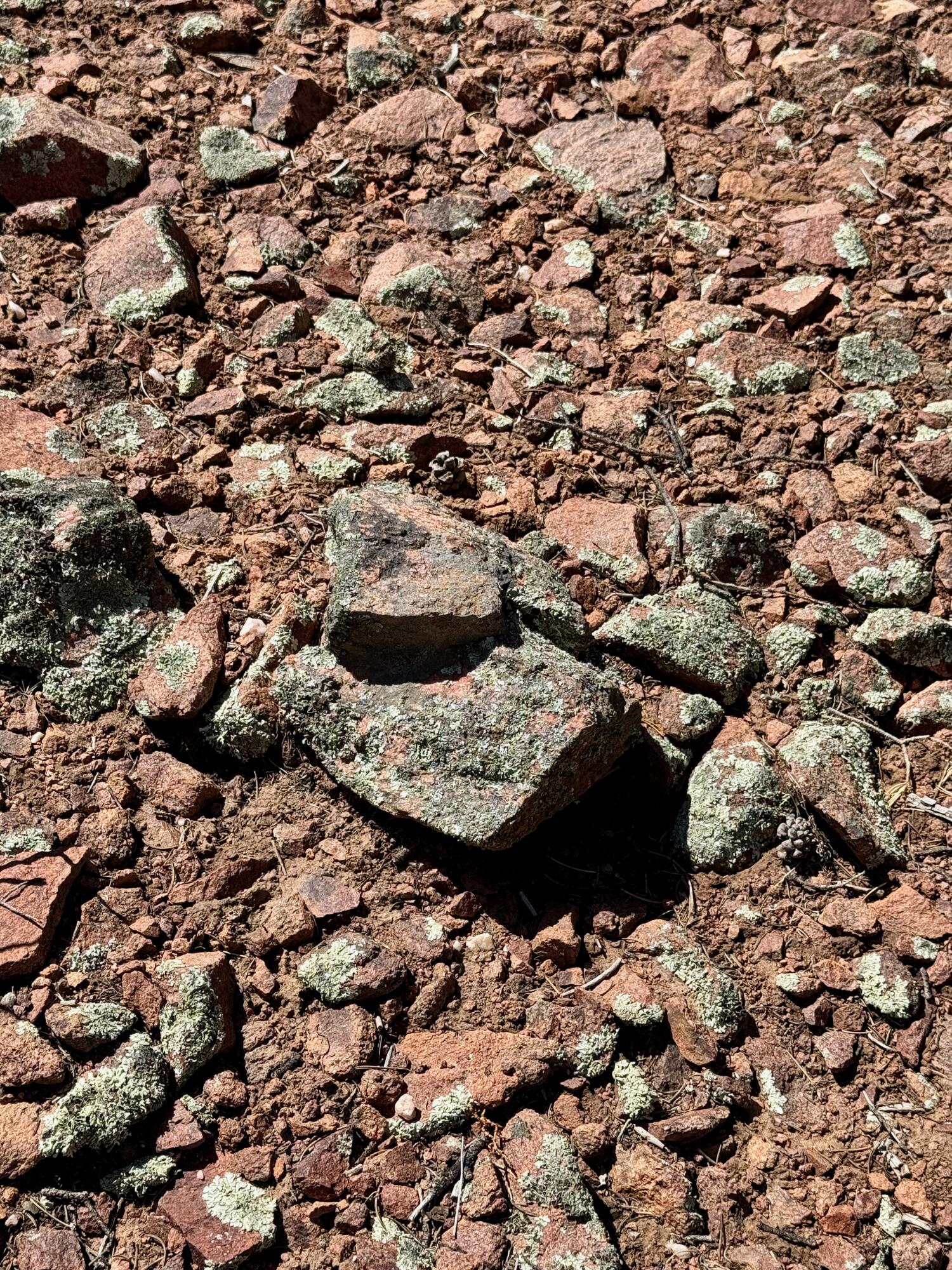 S Summit Drive, Santa Fe, New Mexico image 30