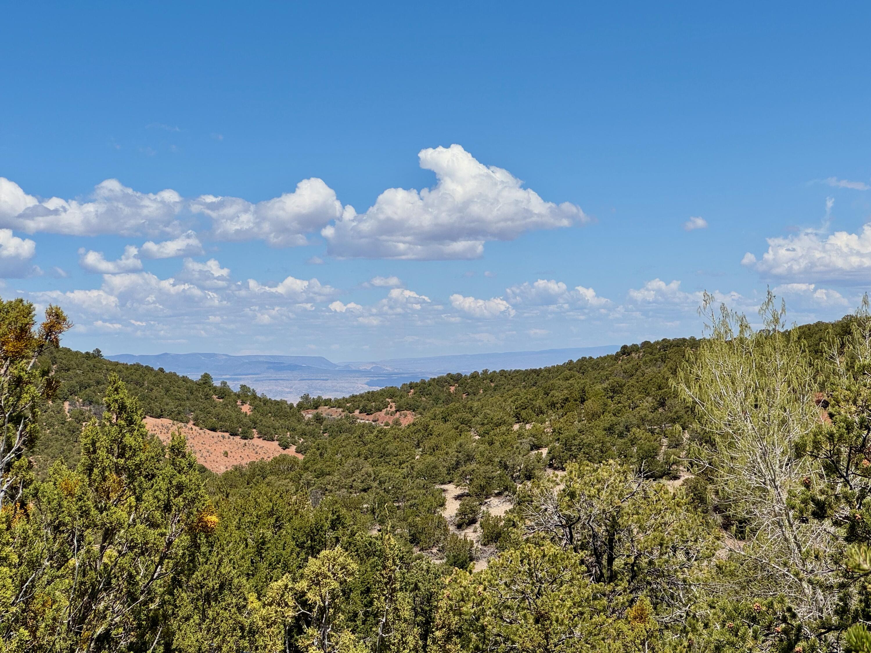 S Summit Drive, Santa Fe, New Mexico image 35