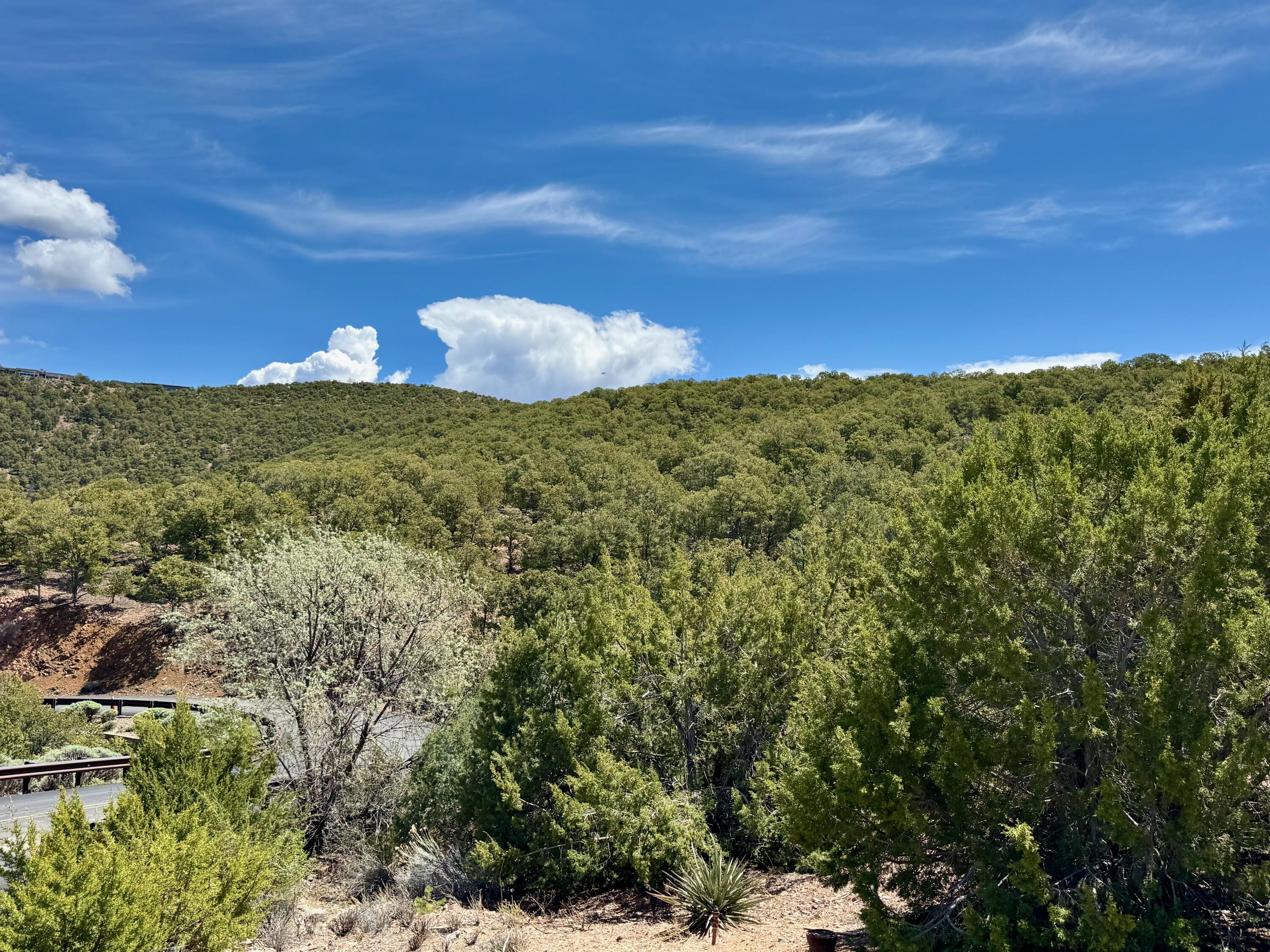 S Summit Drive, Santa Fe, New Mexico image 32