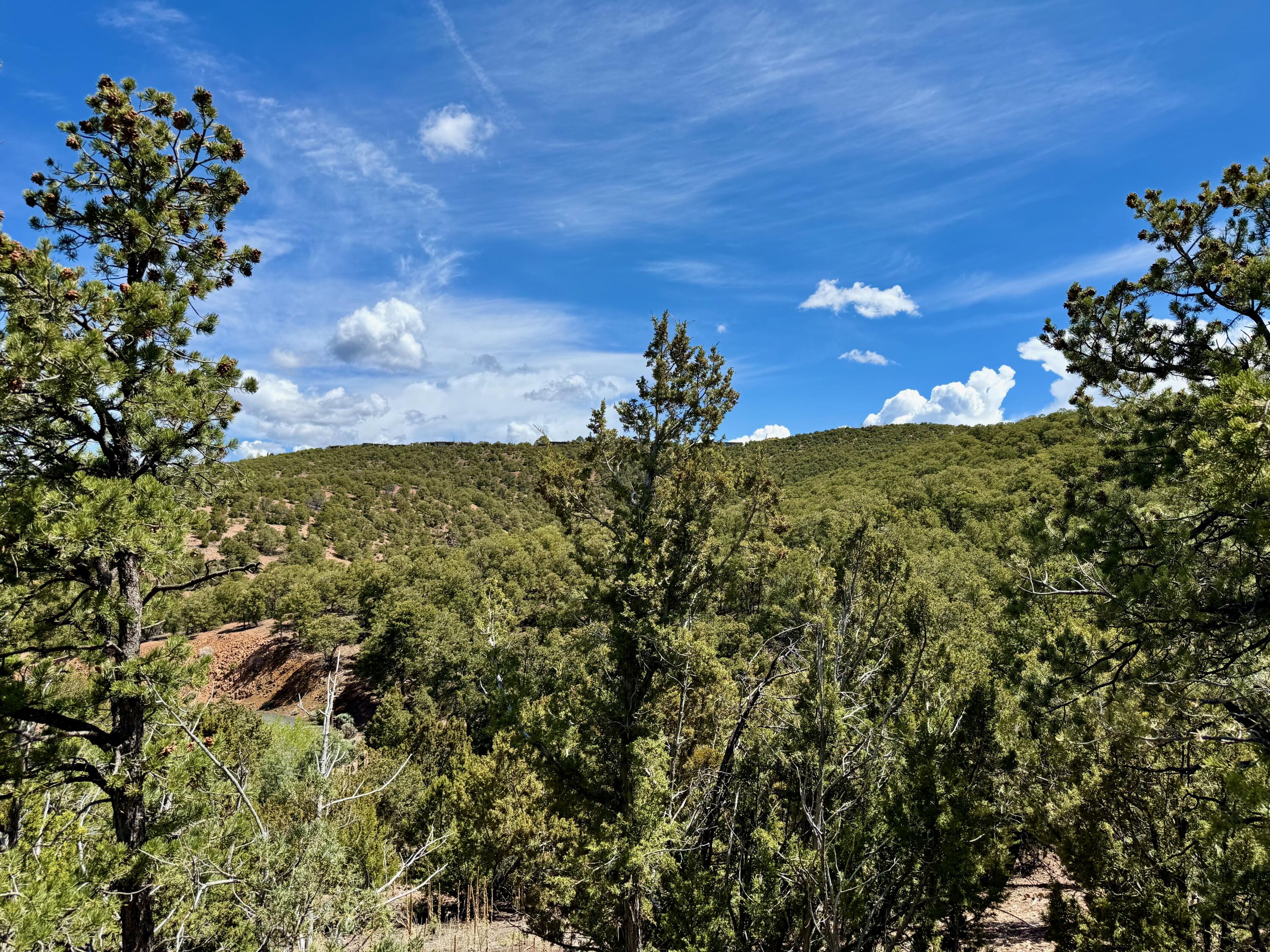 S Summit Drive, Santa Fe, New Mexico image 36
