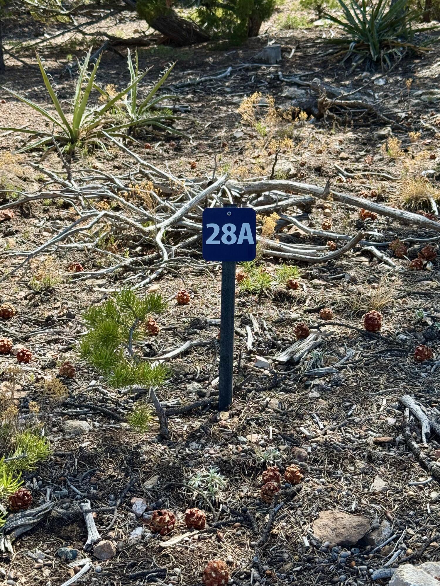 S Summit Drive, Santa Fe, New Mexico image 17