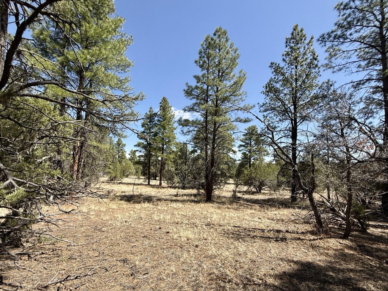 Lot 24 Timberlake Road, Ramah, New Mexico image 26