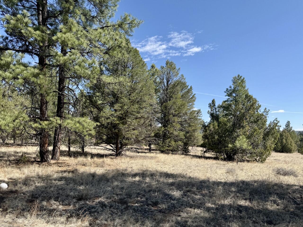 Lot 24 Timberlake Road, Ramah, New Mexico image 22