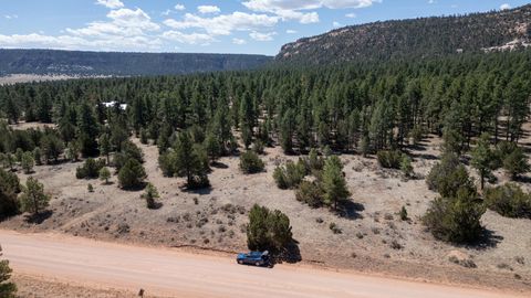Vacant Land For Sale - LOT 24 Timberlake Road<br/> Ramah, NM 87321