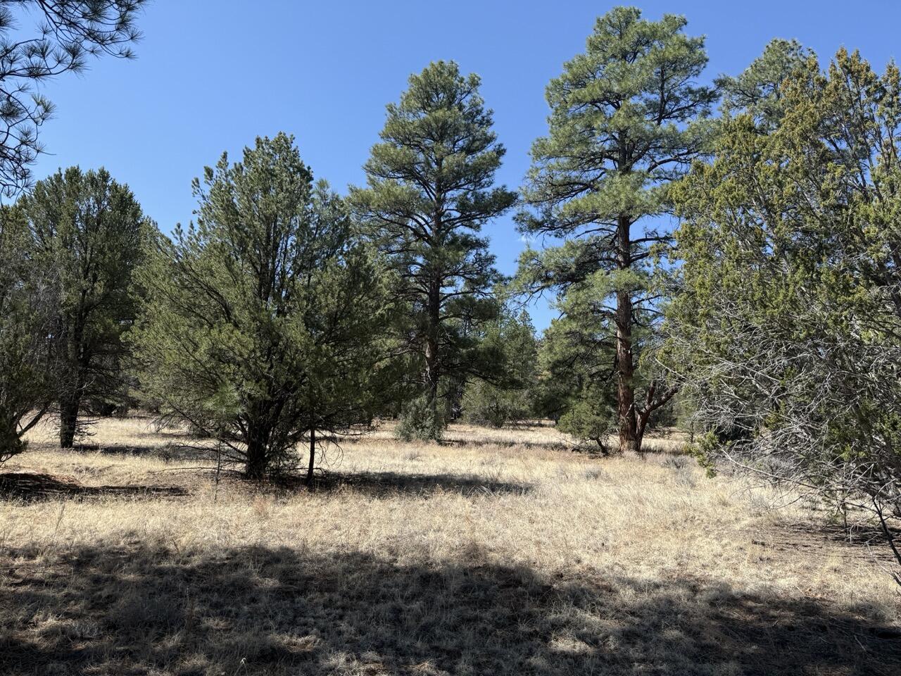 Lot 24 Timberlake Road, Ramah, New Mexico image 21