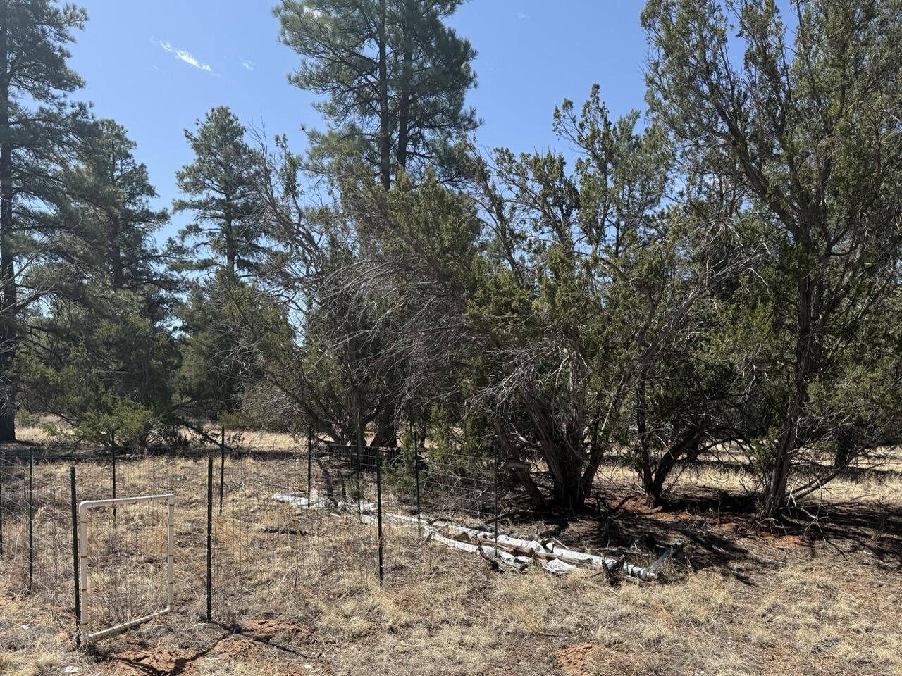 Lot 24 Timberlake Road, Ramah, New Mexico image 18
