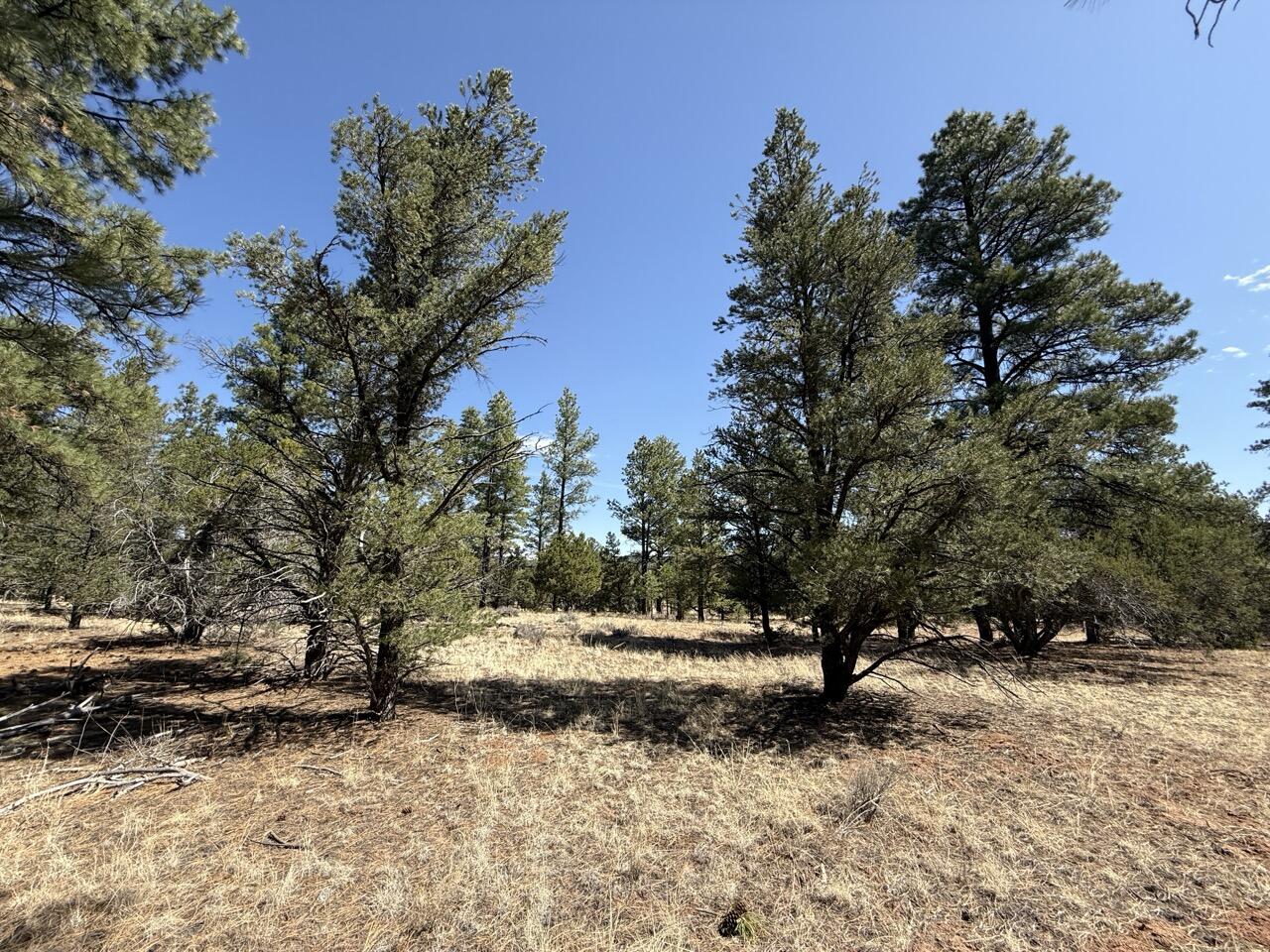 Lot 24 Timberlake Road, Ramah, New Mexico image 30