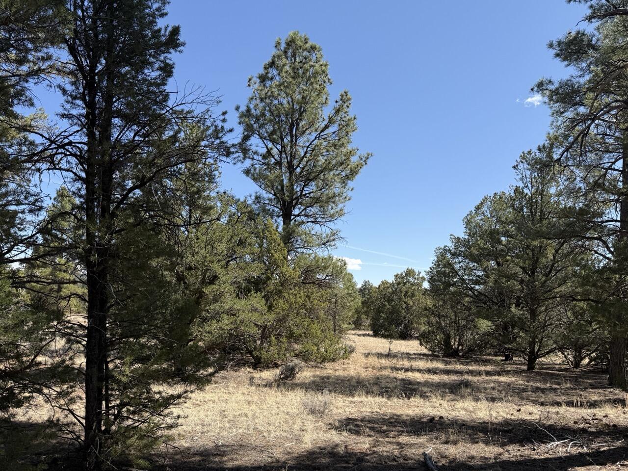 Lot 24 Timberlake Road, Ramah, New Mexico image 32