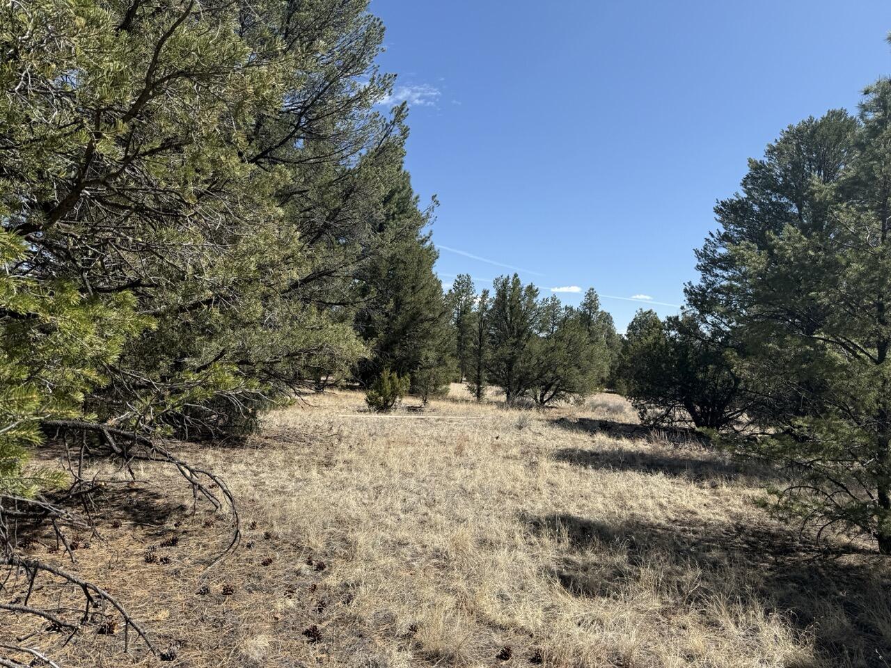 Lot 24 Timberlake Road, Ramah, New Mexico image 20