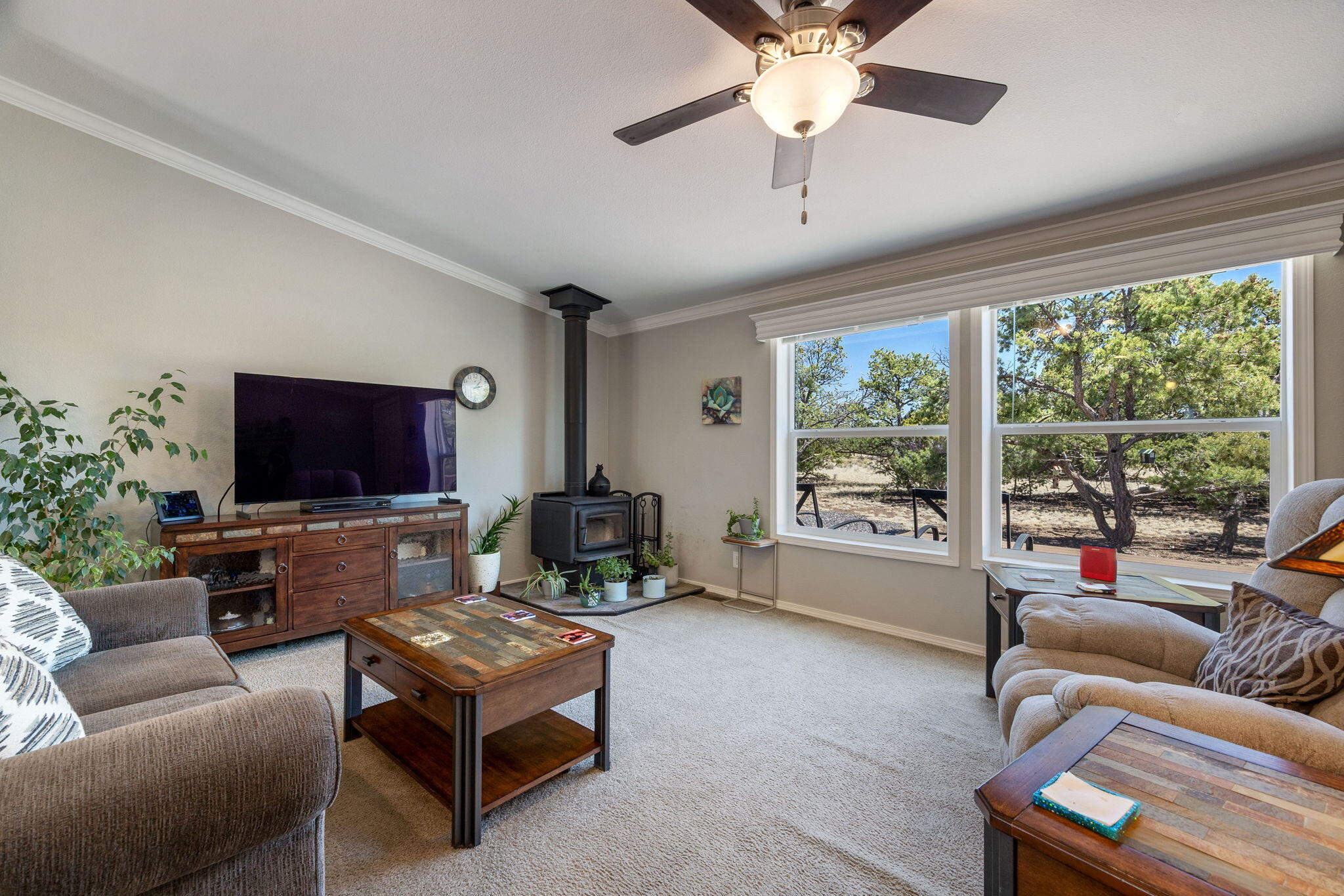37 Brook Boulevard, Quemado, New Mexico image 8